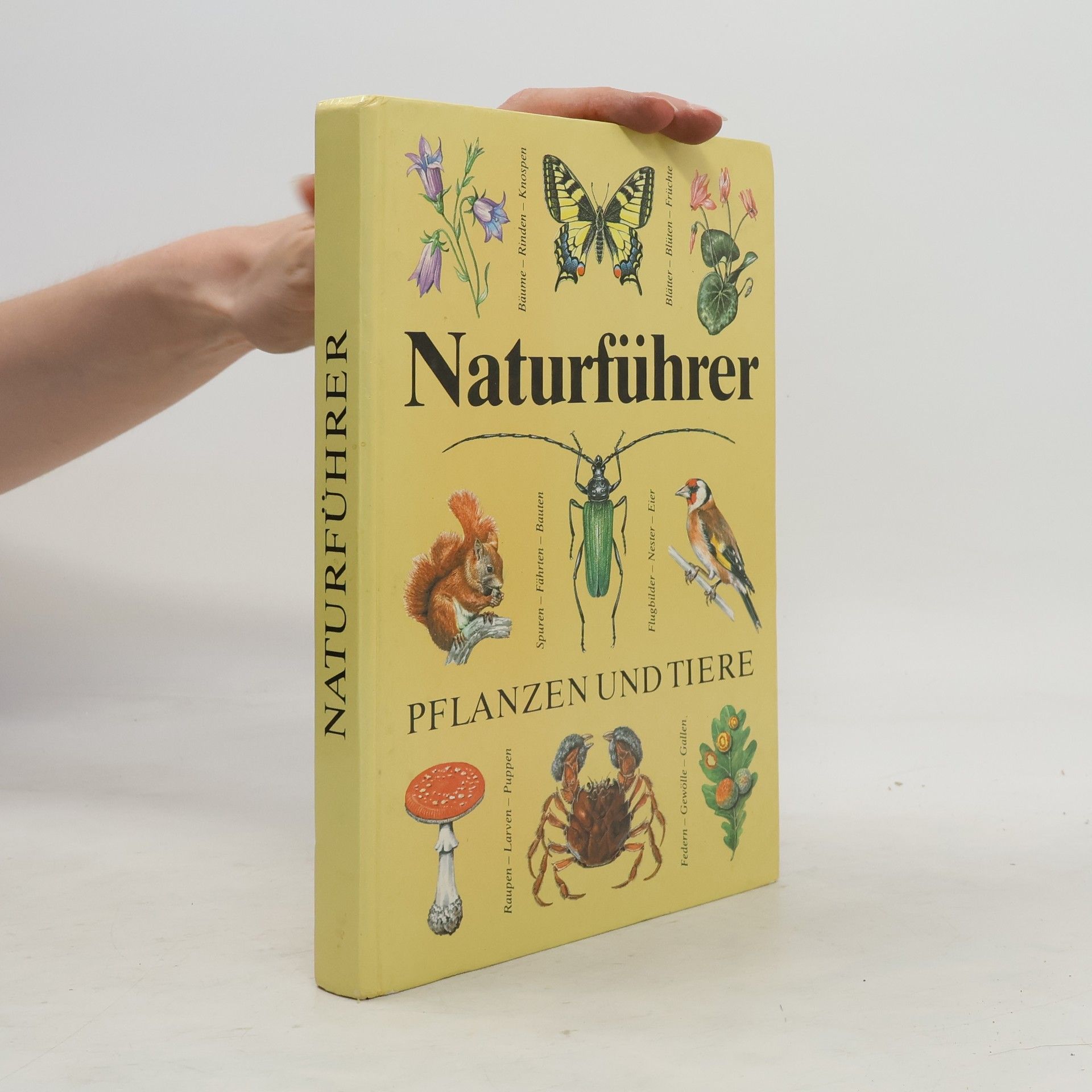 Christoph Needon Naturführer Pflanzen und Tiere