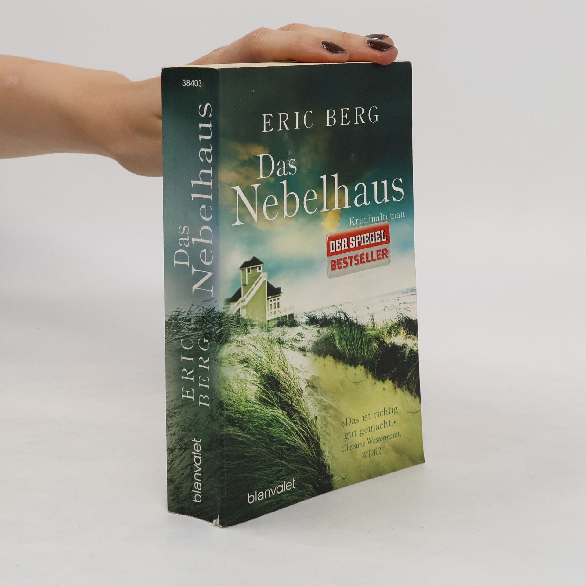 Eric Berg Das Nebelhaus