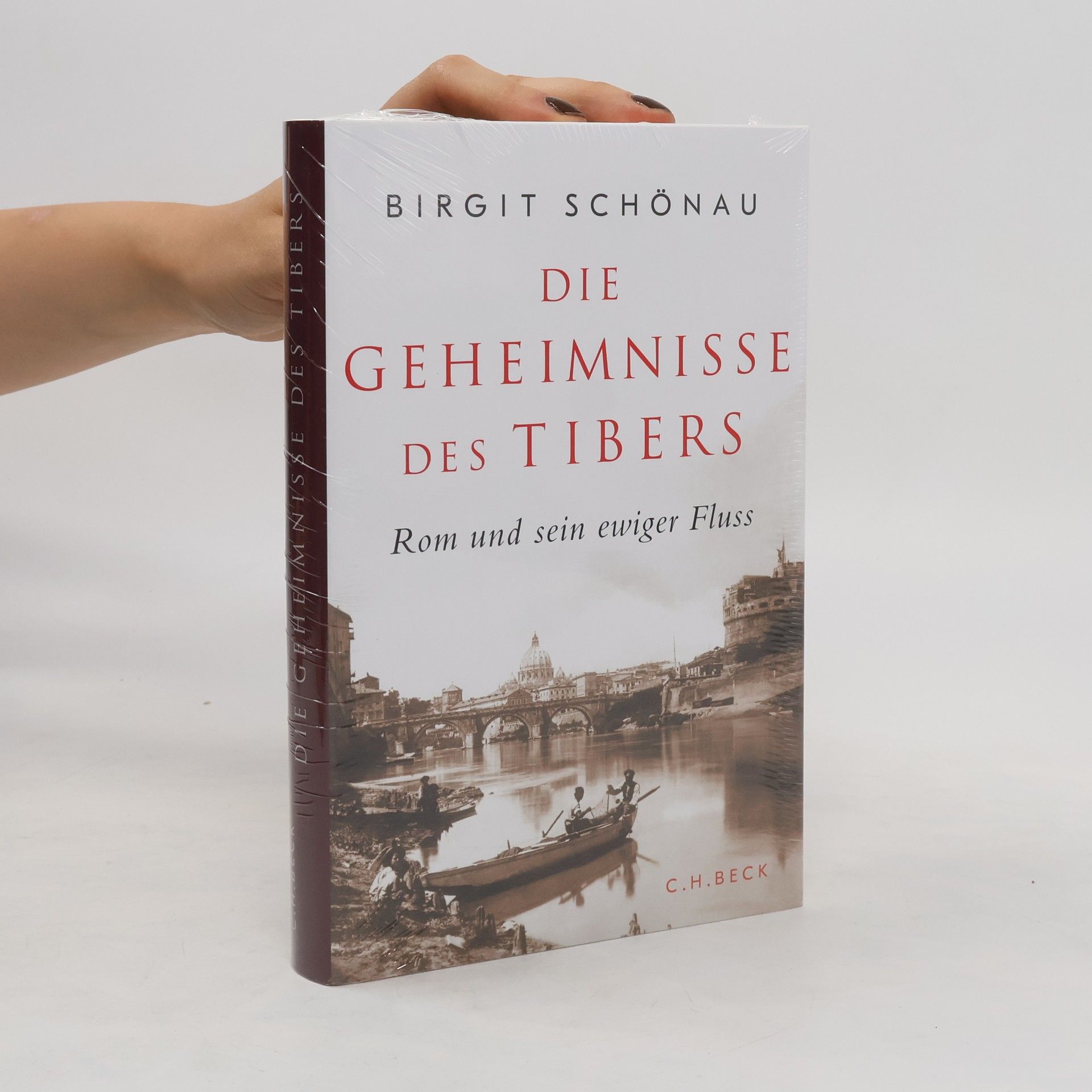 Birgit Schönau Die Geheimnisse des Tibers