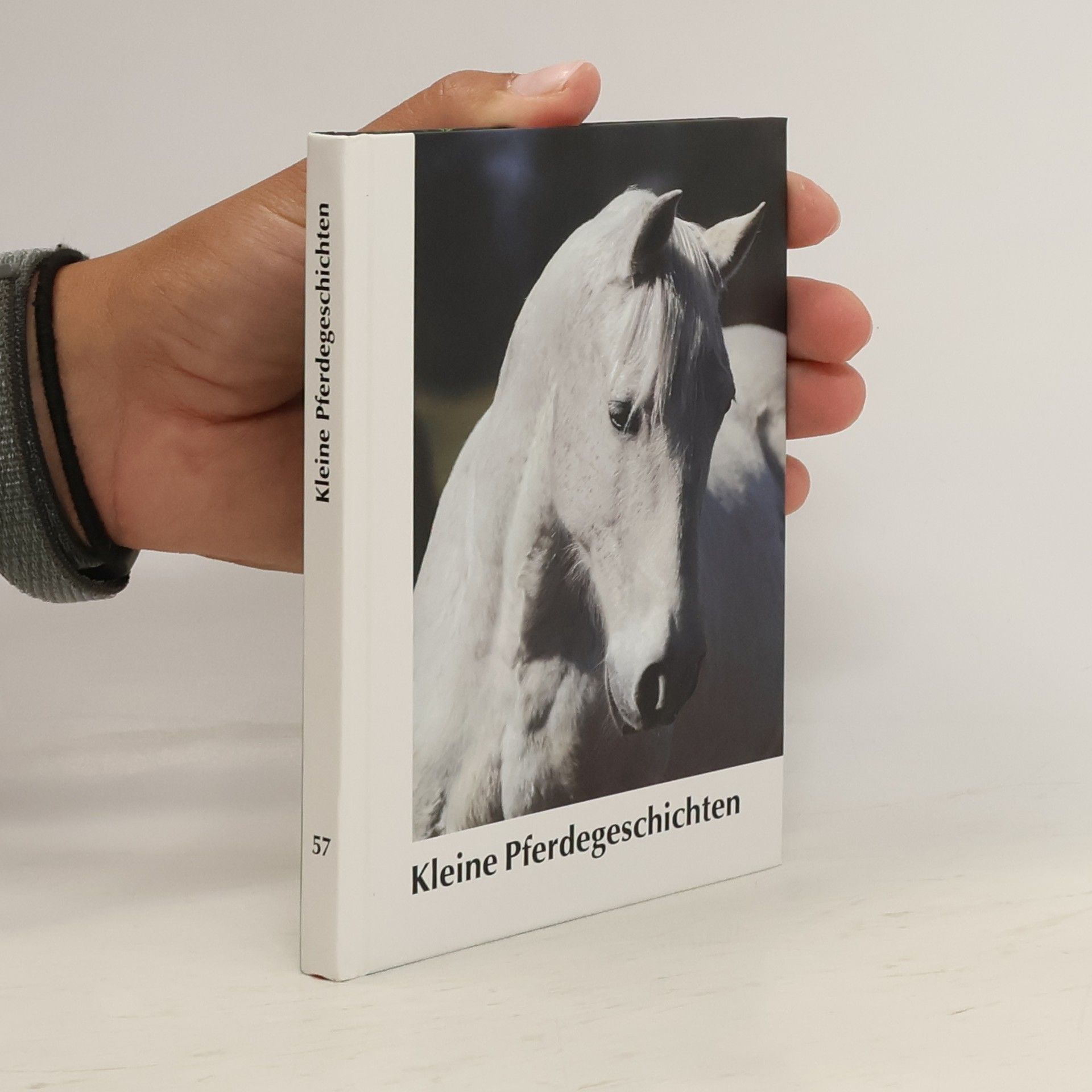 Various authors Kleine Pferdegeschichten