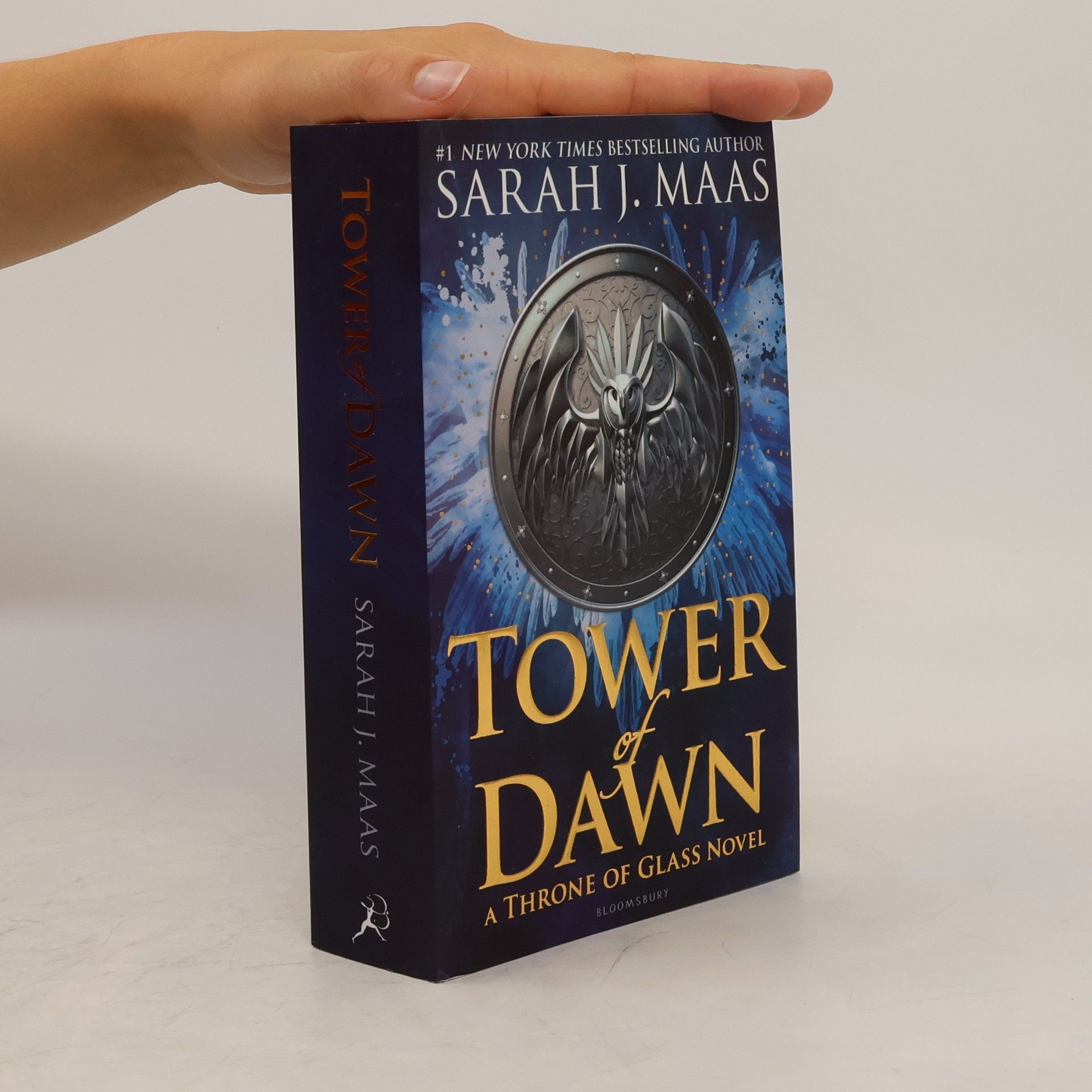 Tower of dawn