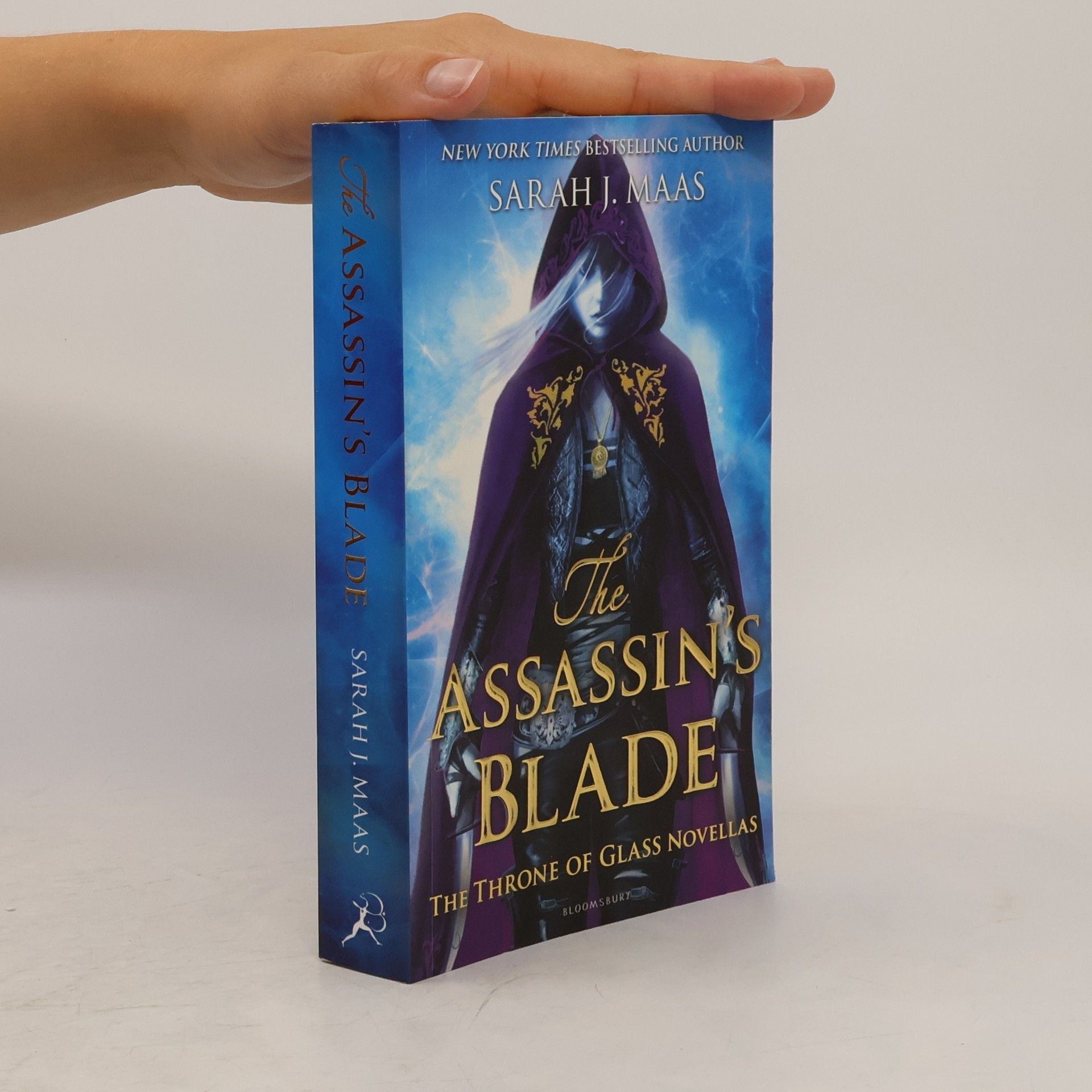The Assassin's Blade