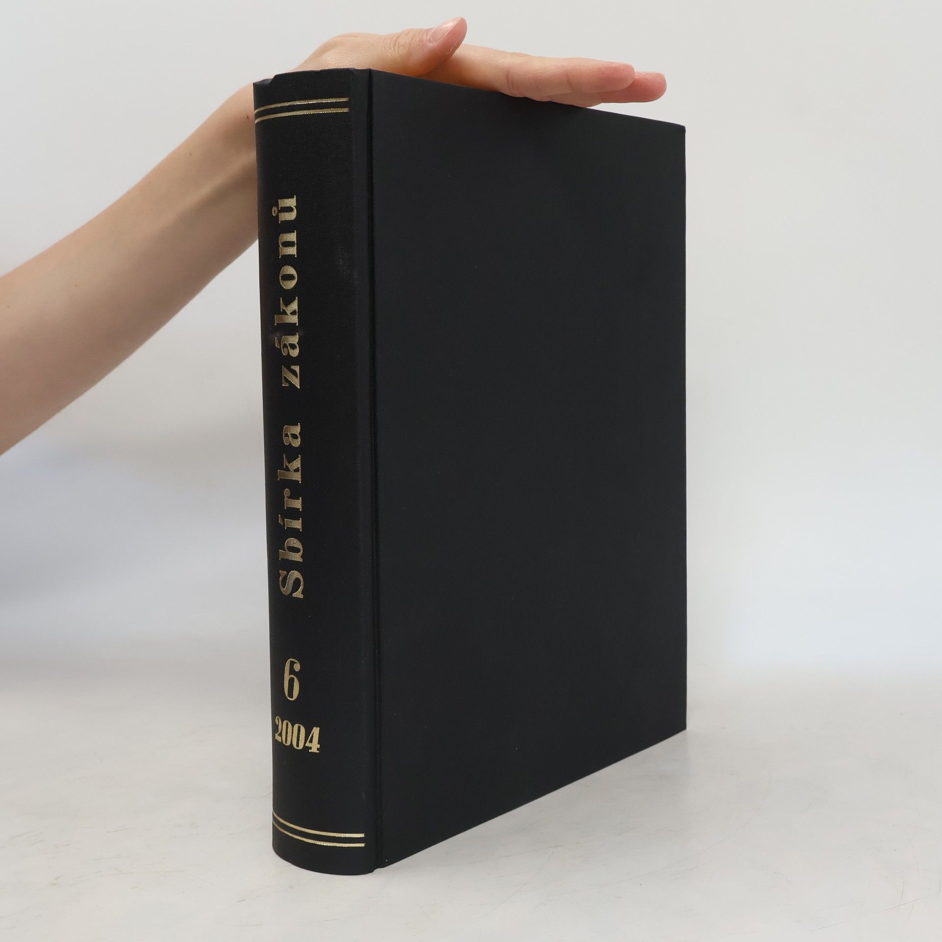 Collectif d'auteurs Sbírka zákonů České republiky 6/2004