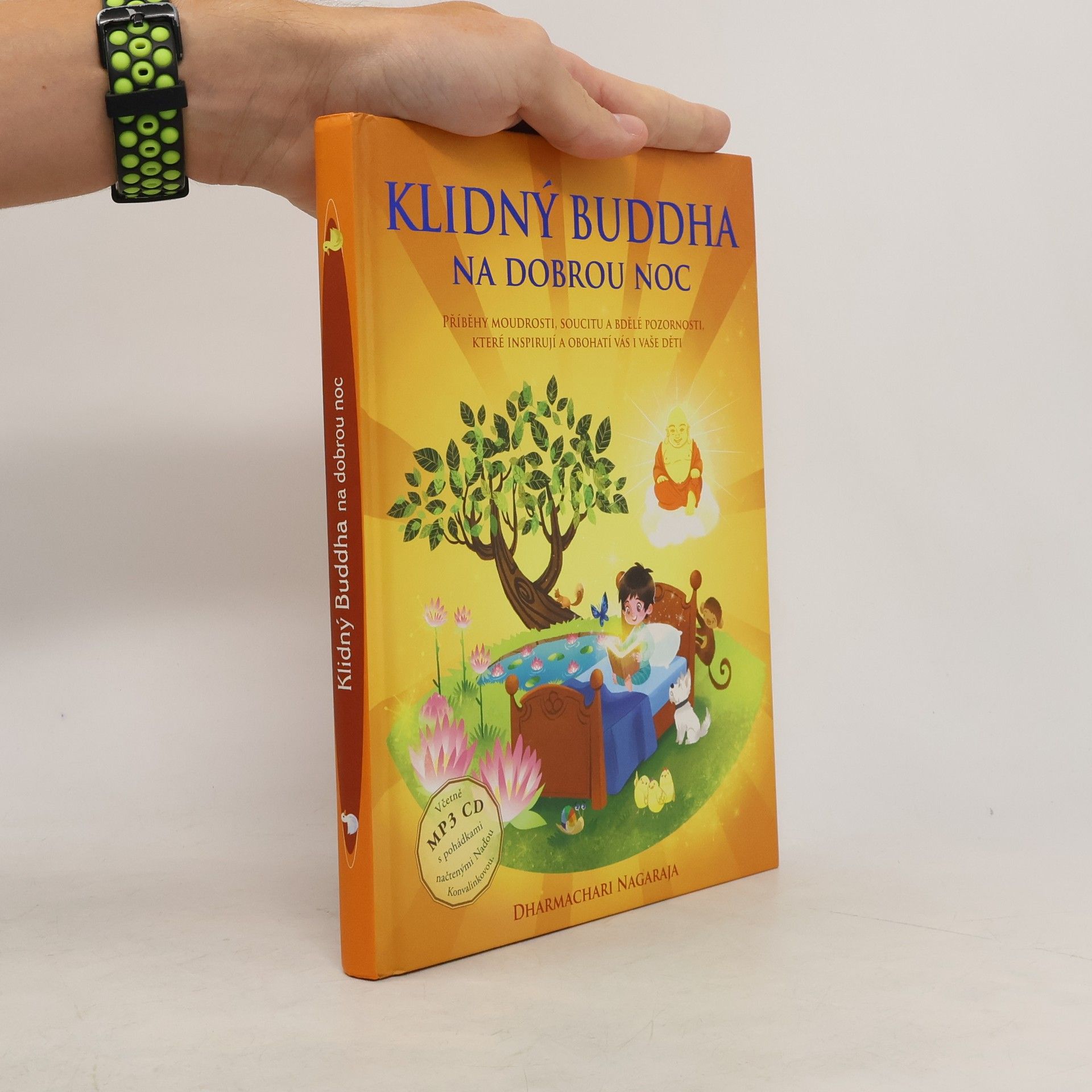 Dharmachari Nagaraja Klidný Buddha na dobrou noc.