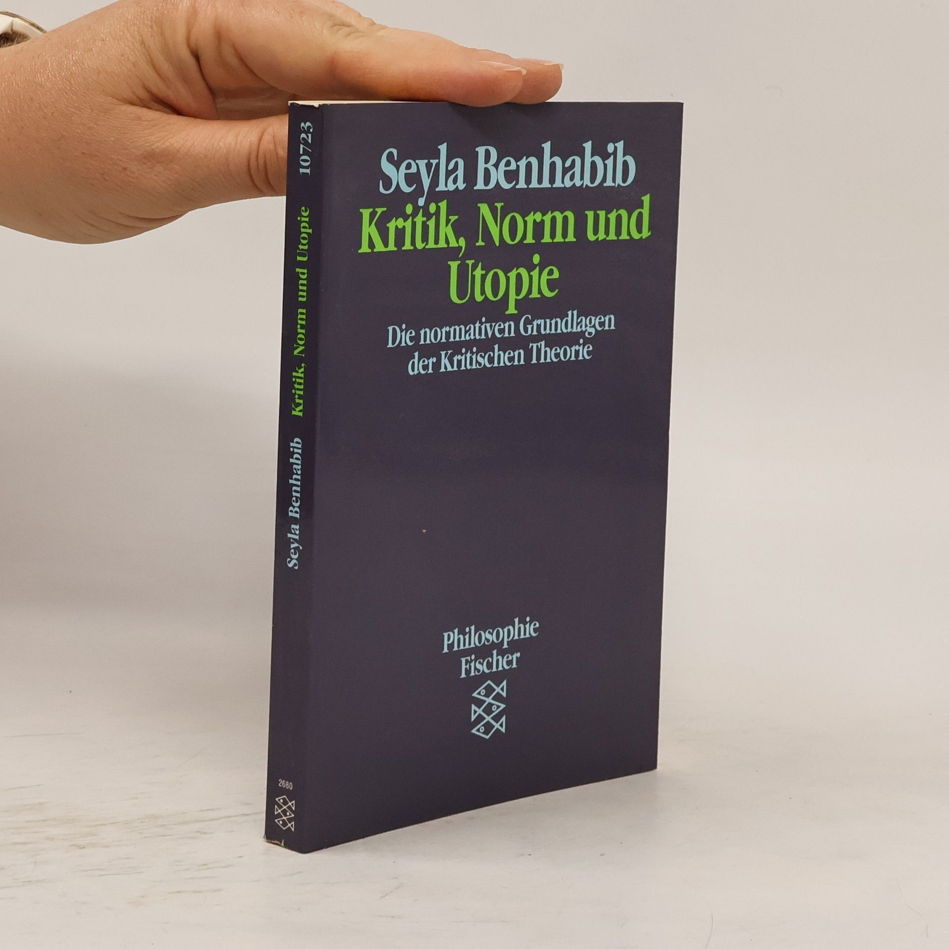 Seyla Benhabib Kritik, Norm und Utopie