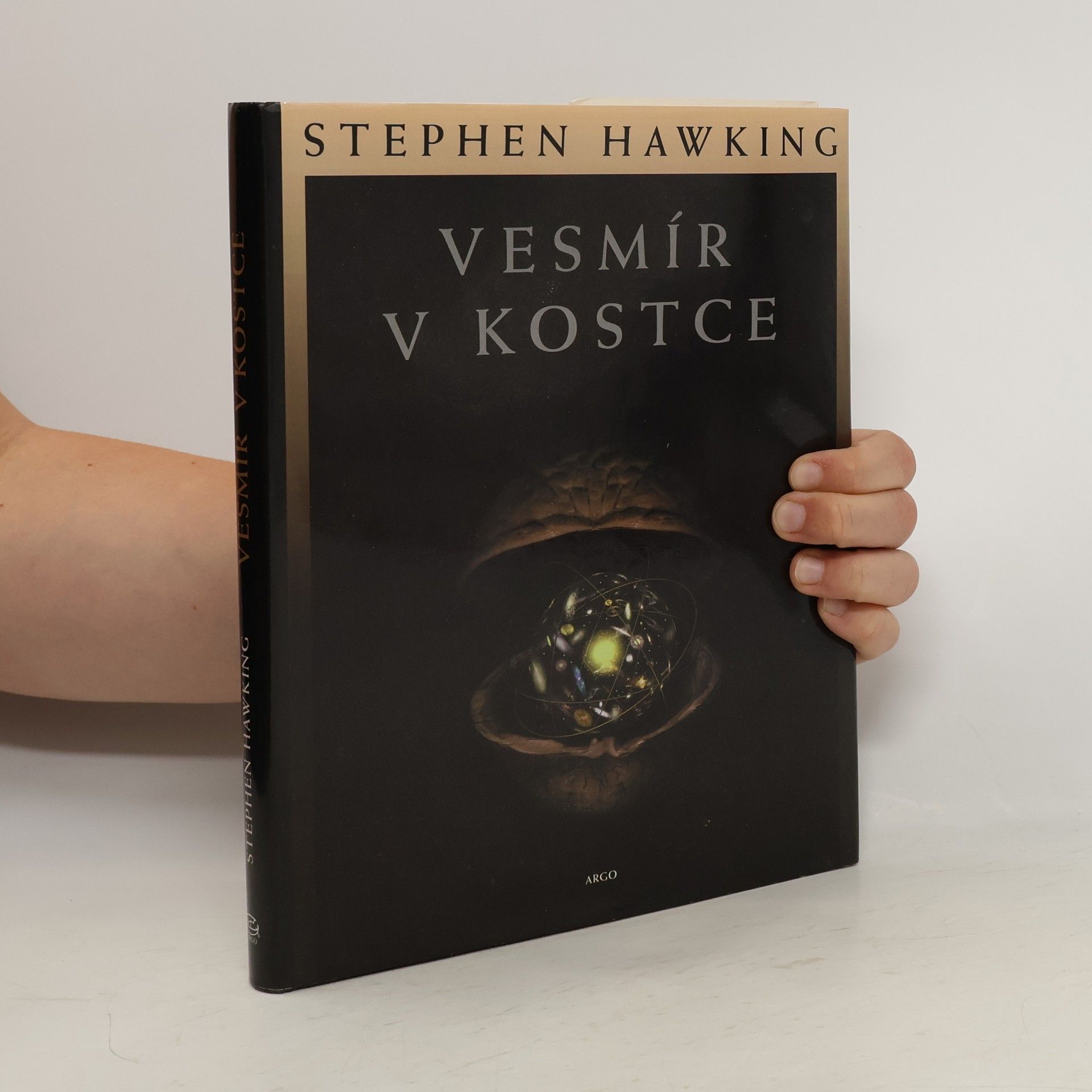 Stephen Hawking Vesmír v kostce