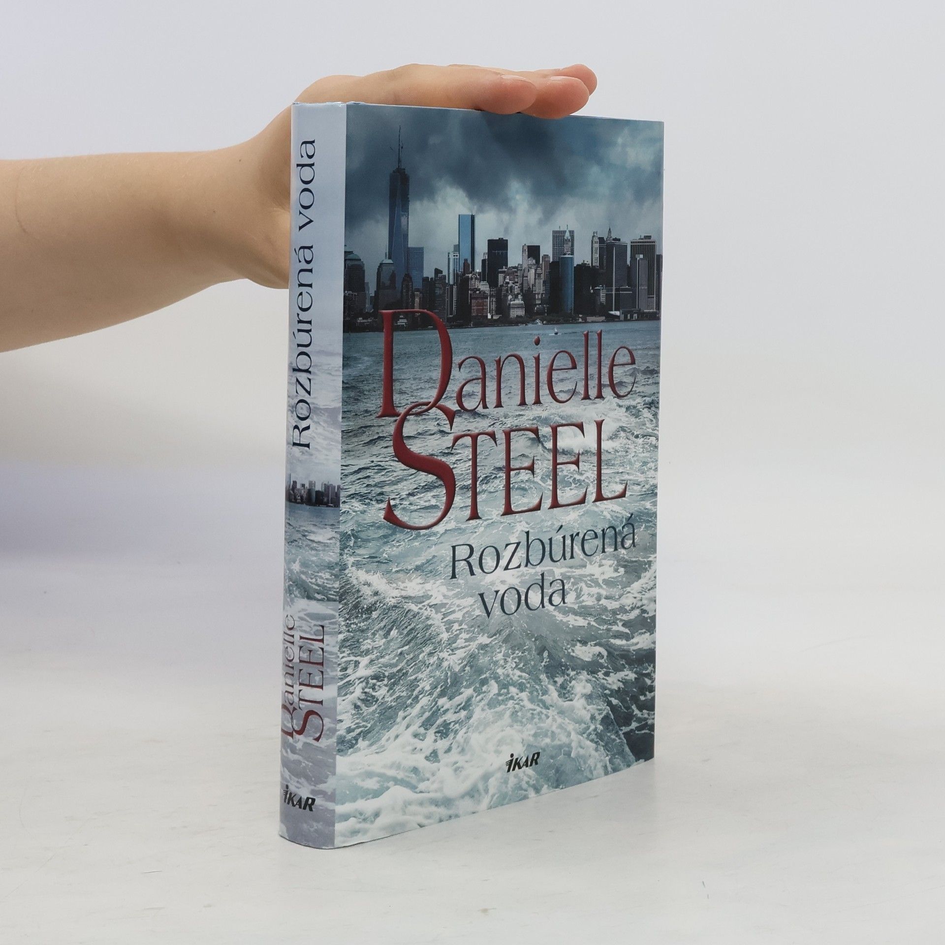 Danielle Steel Rozbúrená voda