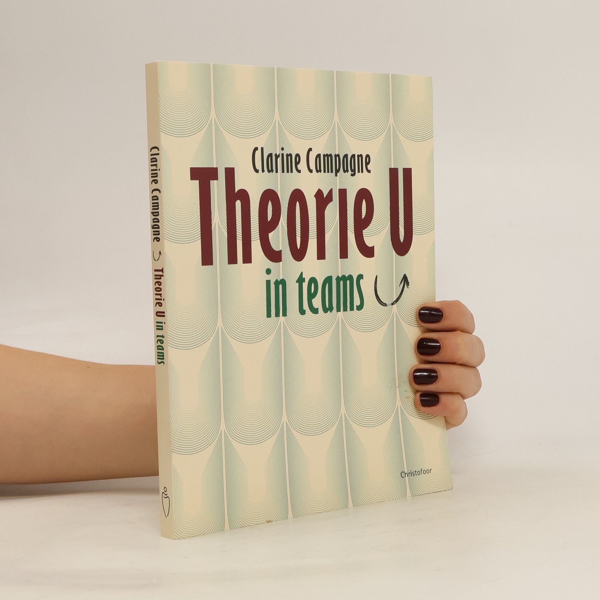 Clarine Campagne Theorie U in Teams