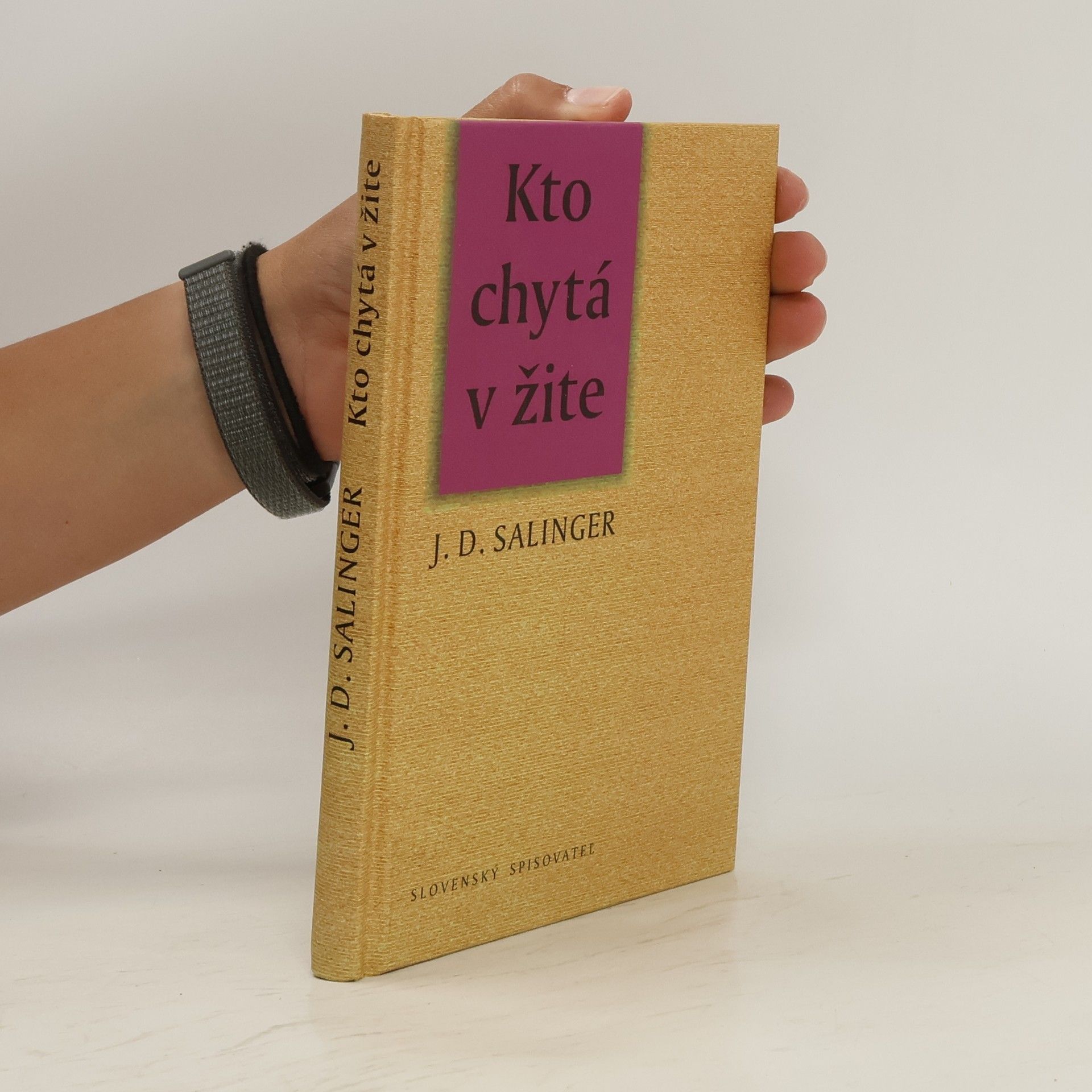 Jerome David Salinger Kto chytá v žite