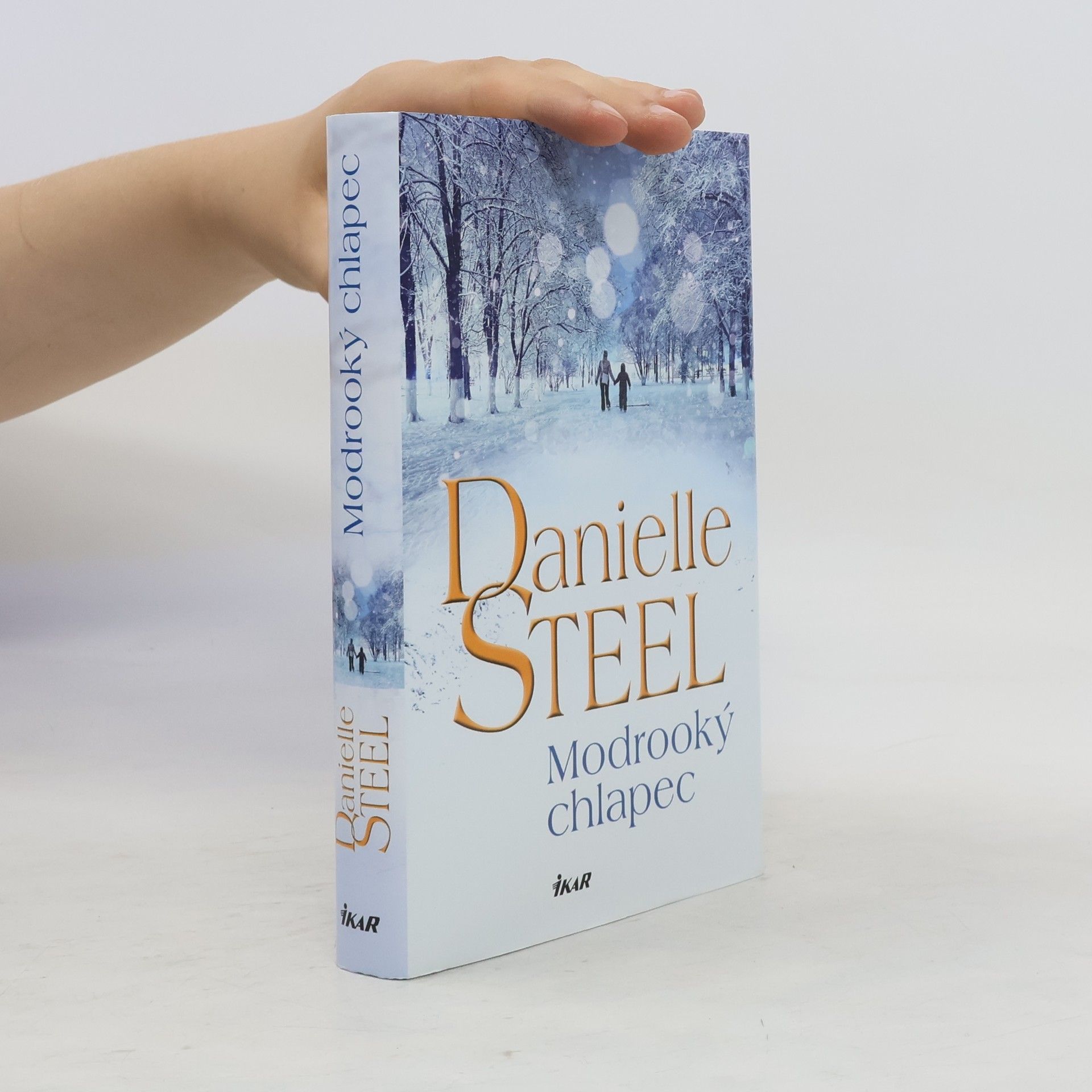 Danielle Steel Modrooký chlapec