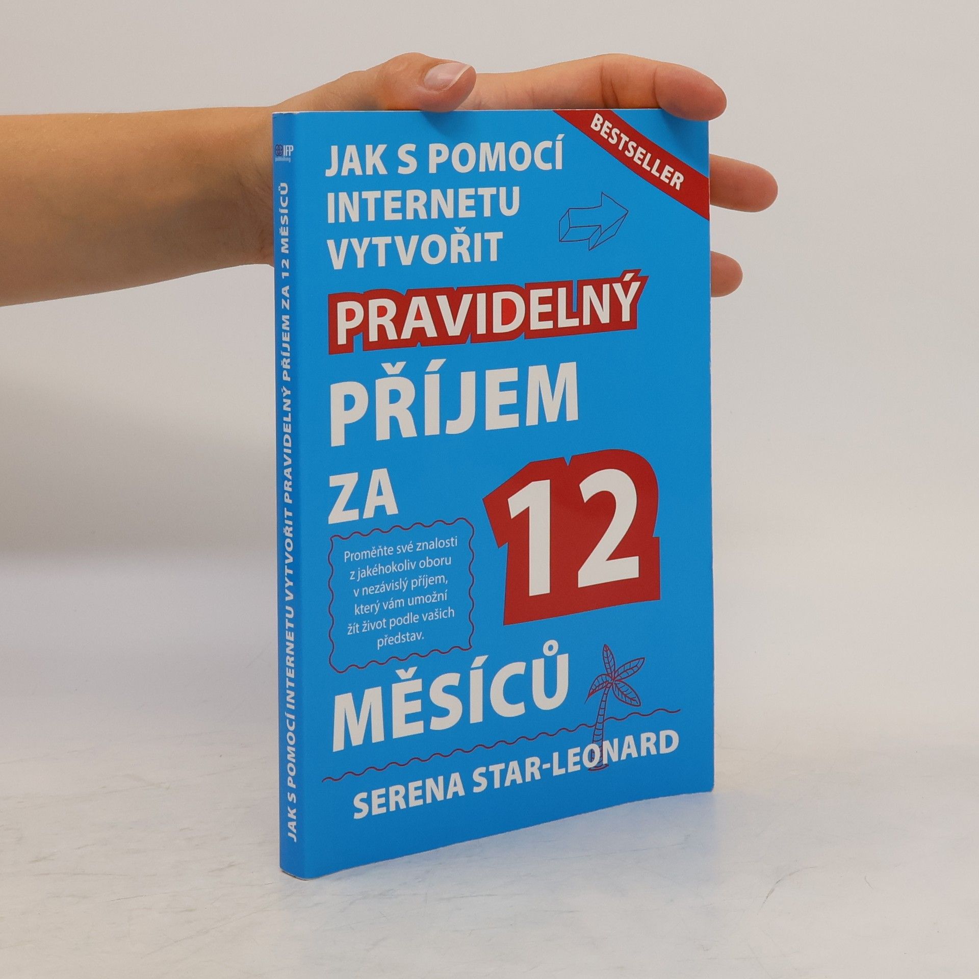 Jak s pomocí internetu vytvořit pravidelný příjem za 12 měsíců