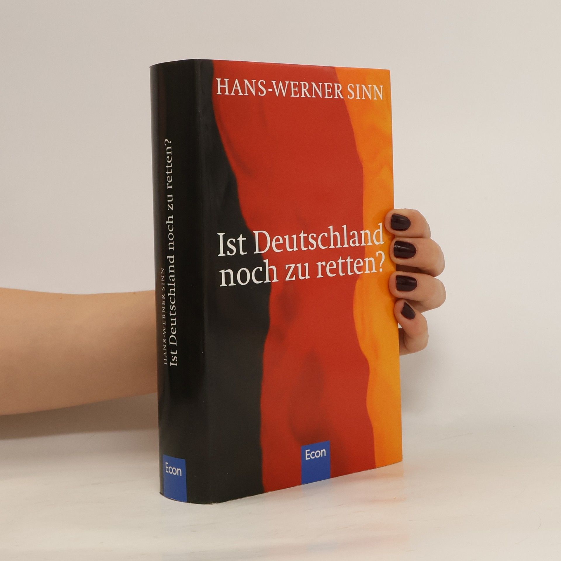Werner Sinn Ist Deutschland noch zu retten?