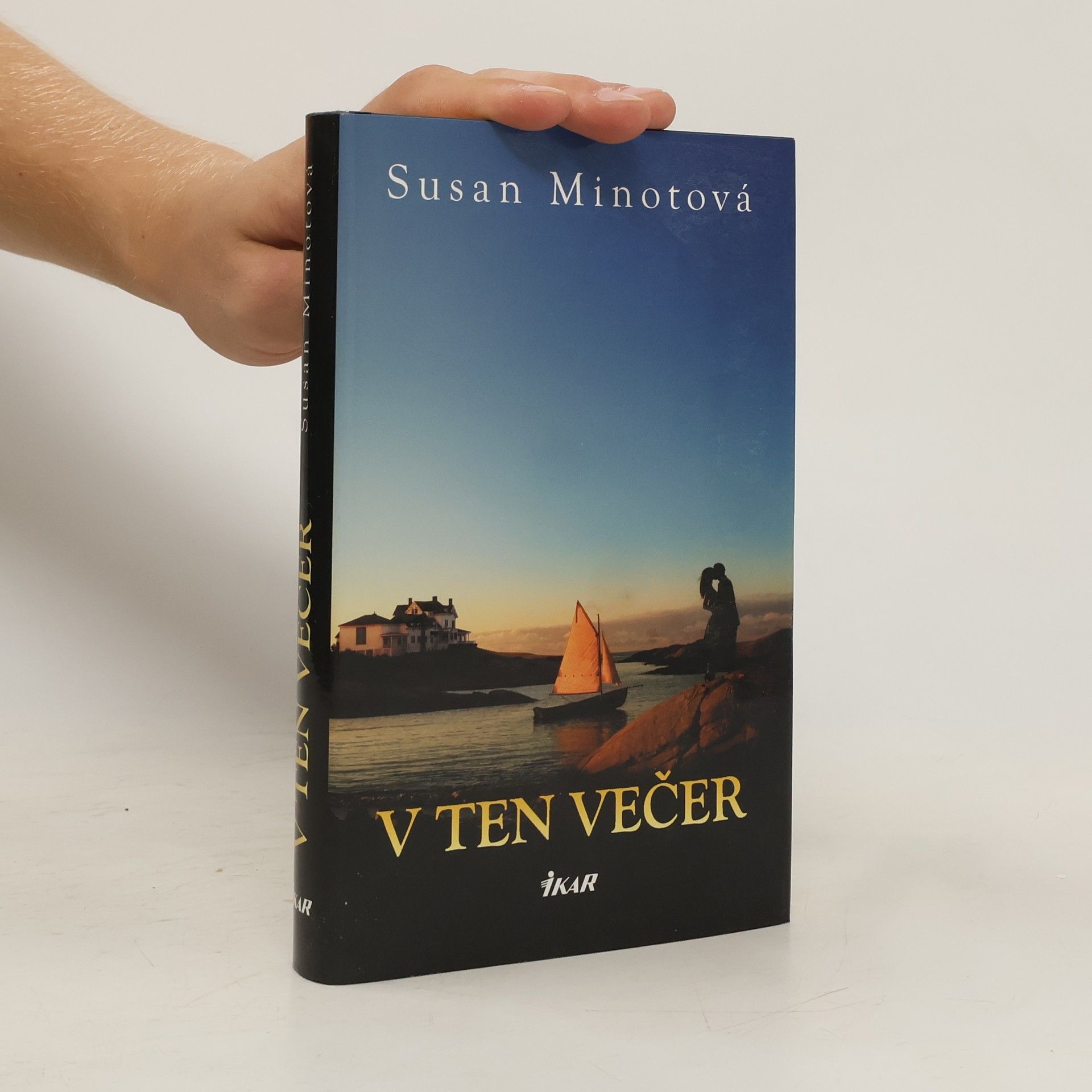 Susan Minot V ten večer
