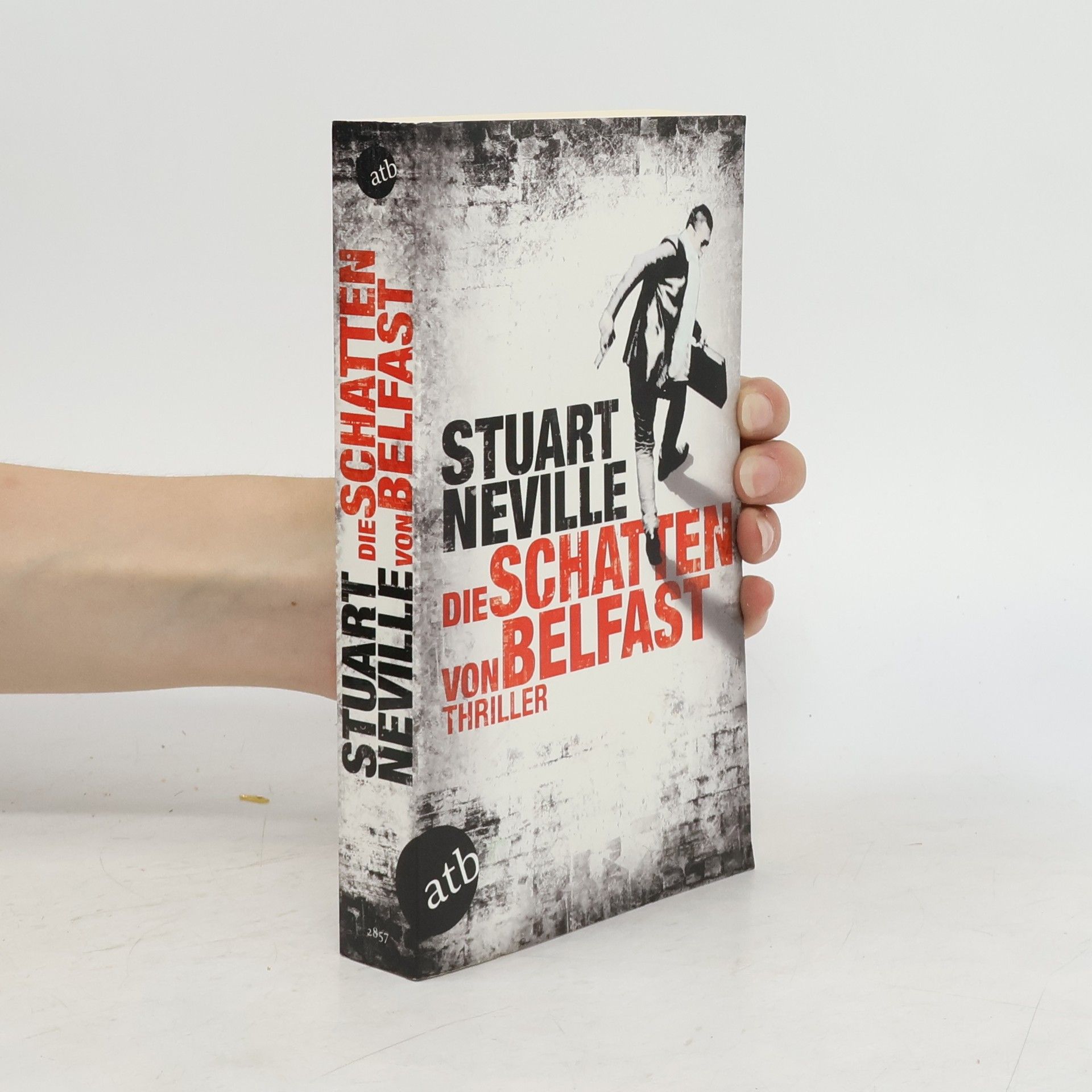 Stuart Neville Die Schatten von Belfast