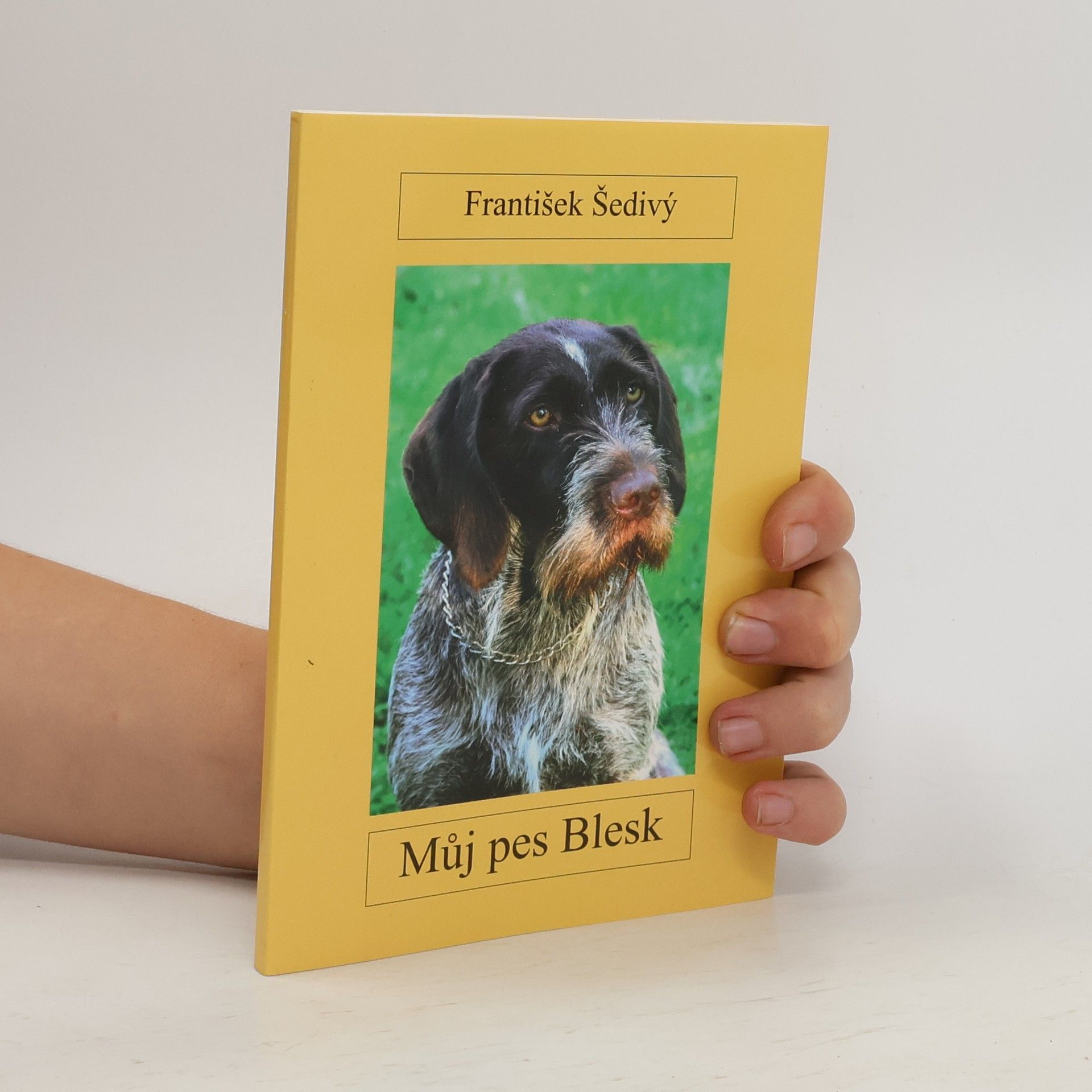 František Šedivý Můj pes Blesk