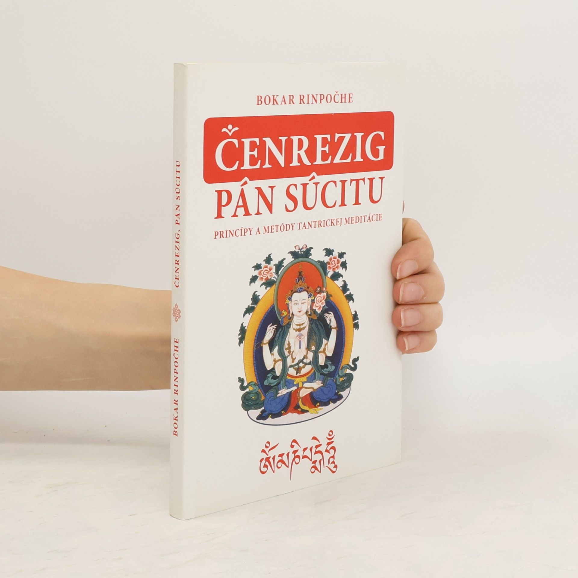 Bokar Rinpoche Čenrezig. Pán súcitu