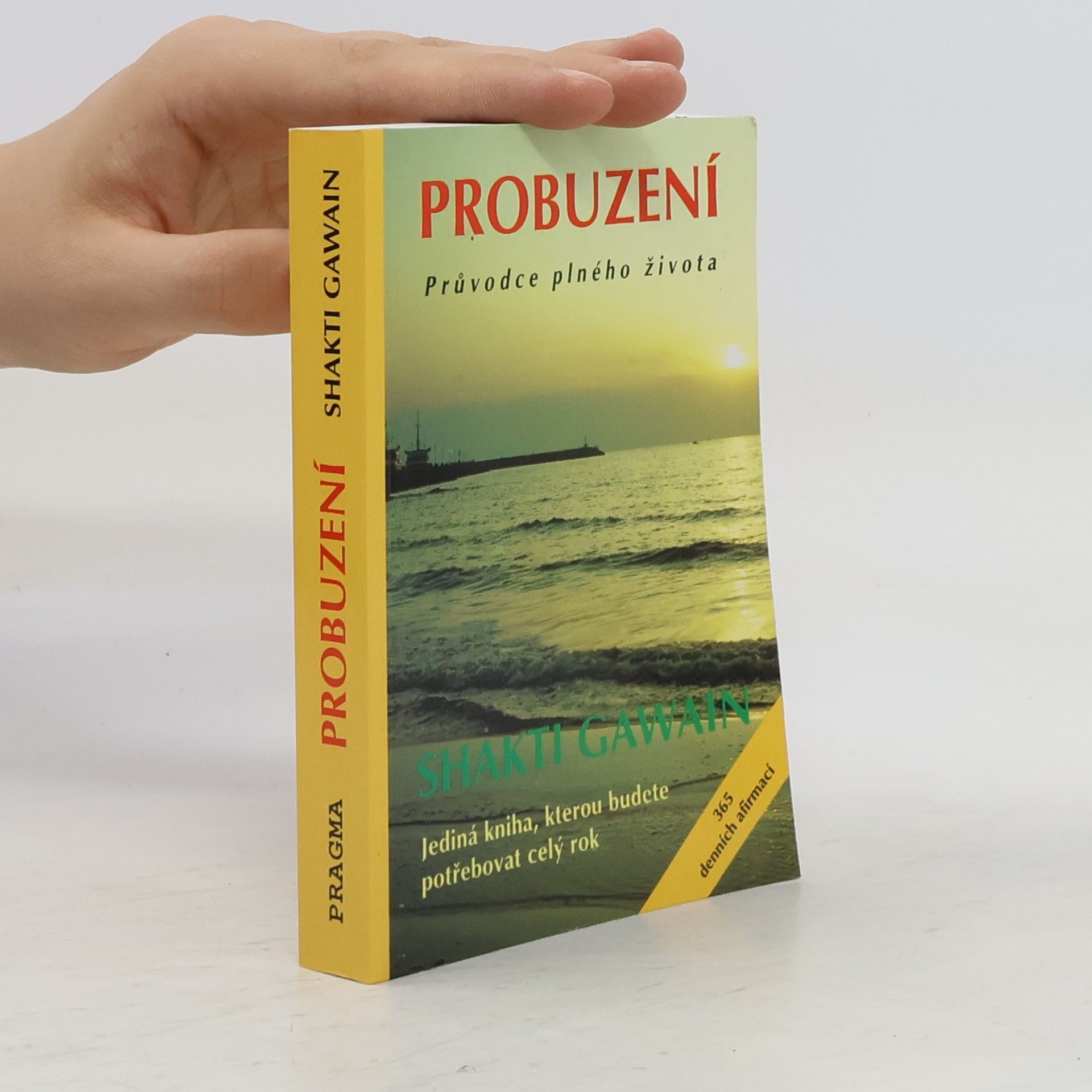 Shakti Gawain Probuzení. Průvodce plného života