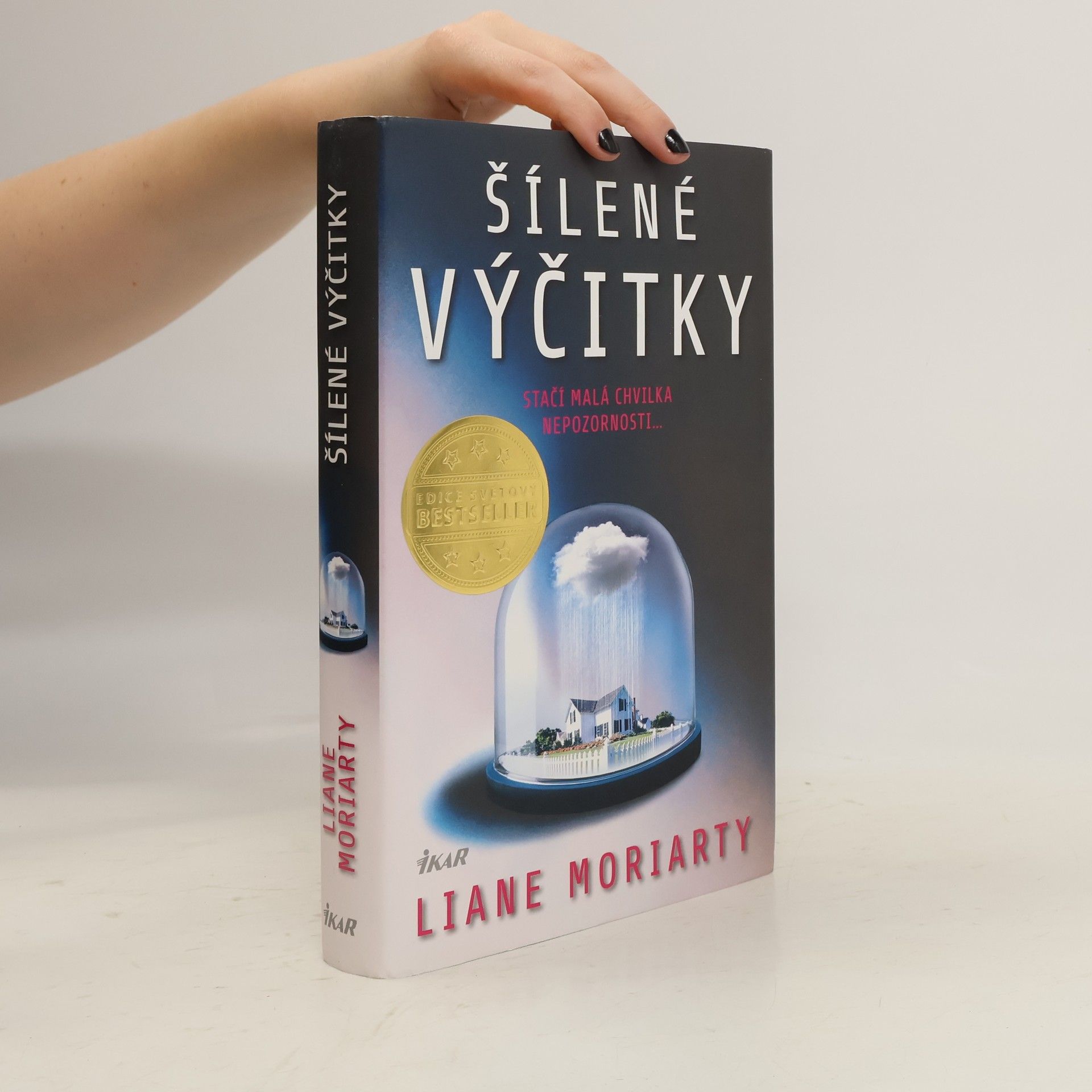Liane Moriarty Šílené výčitky