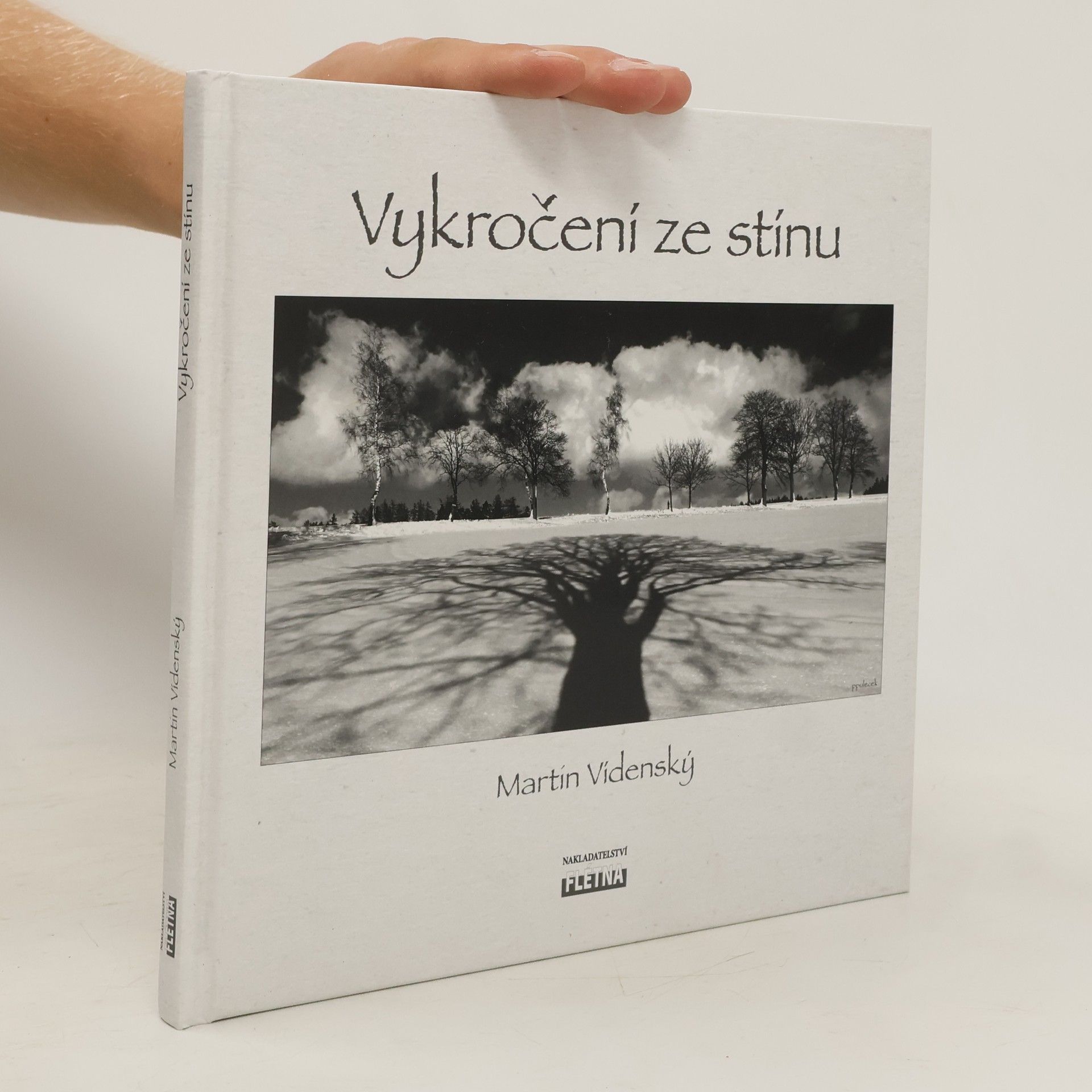 Martin Vídenský Vykročení ze stínu