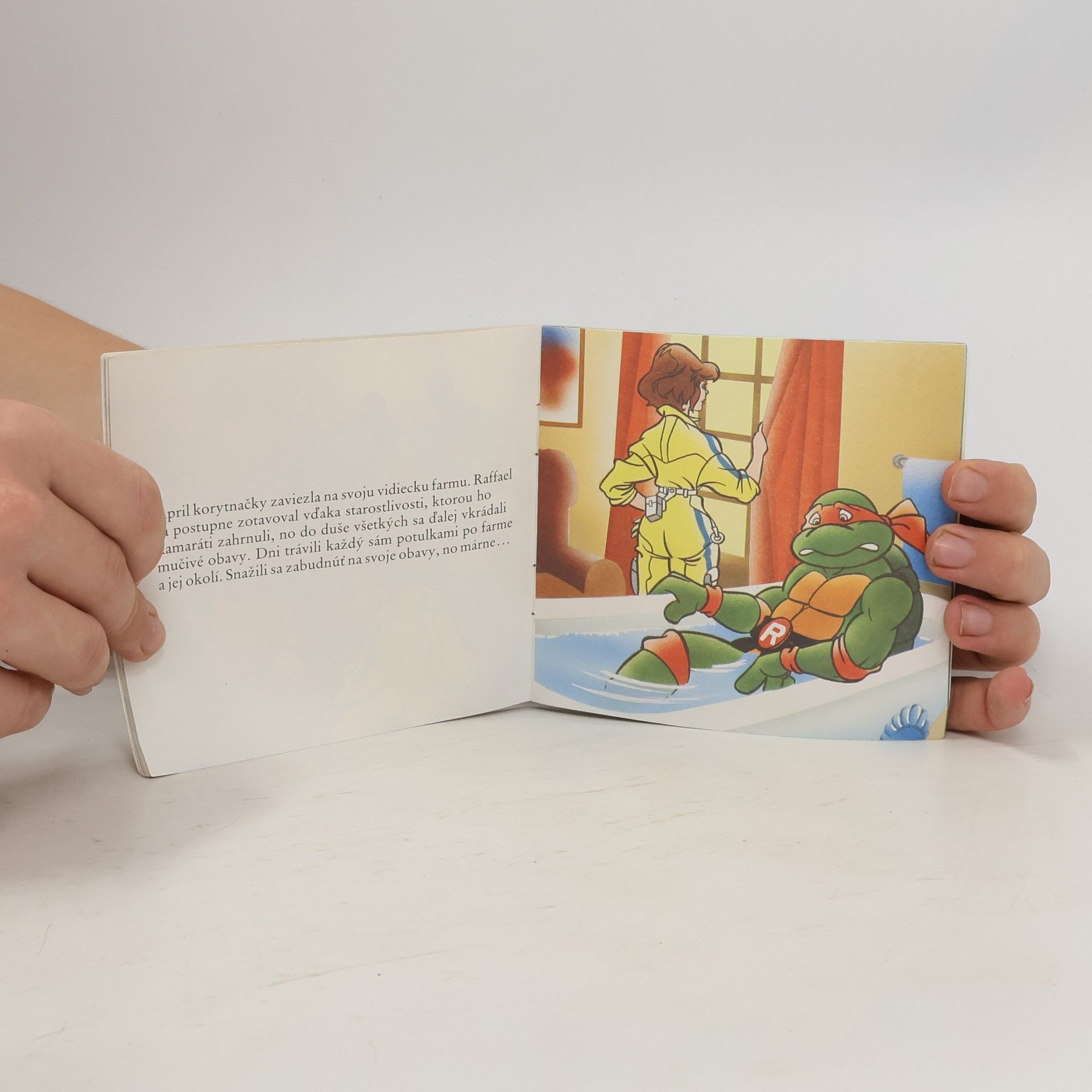 Astrid Holm Turtles. Posledné tajomstvo nindžov