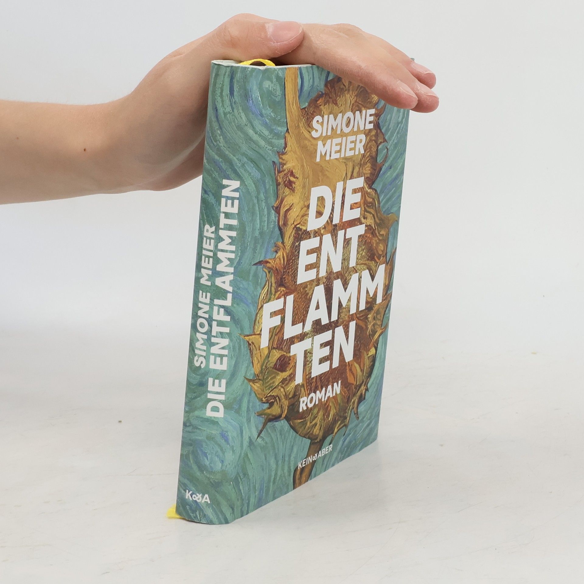 Simone Meier Die Entflammten