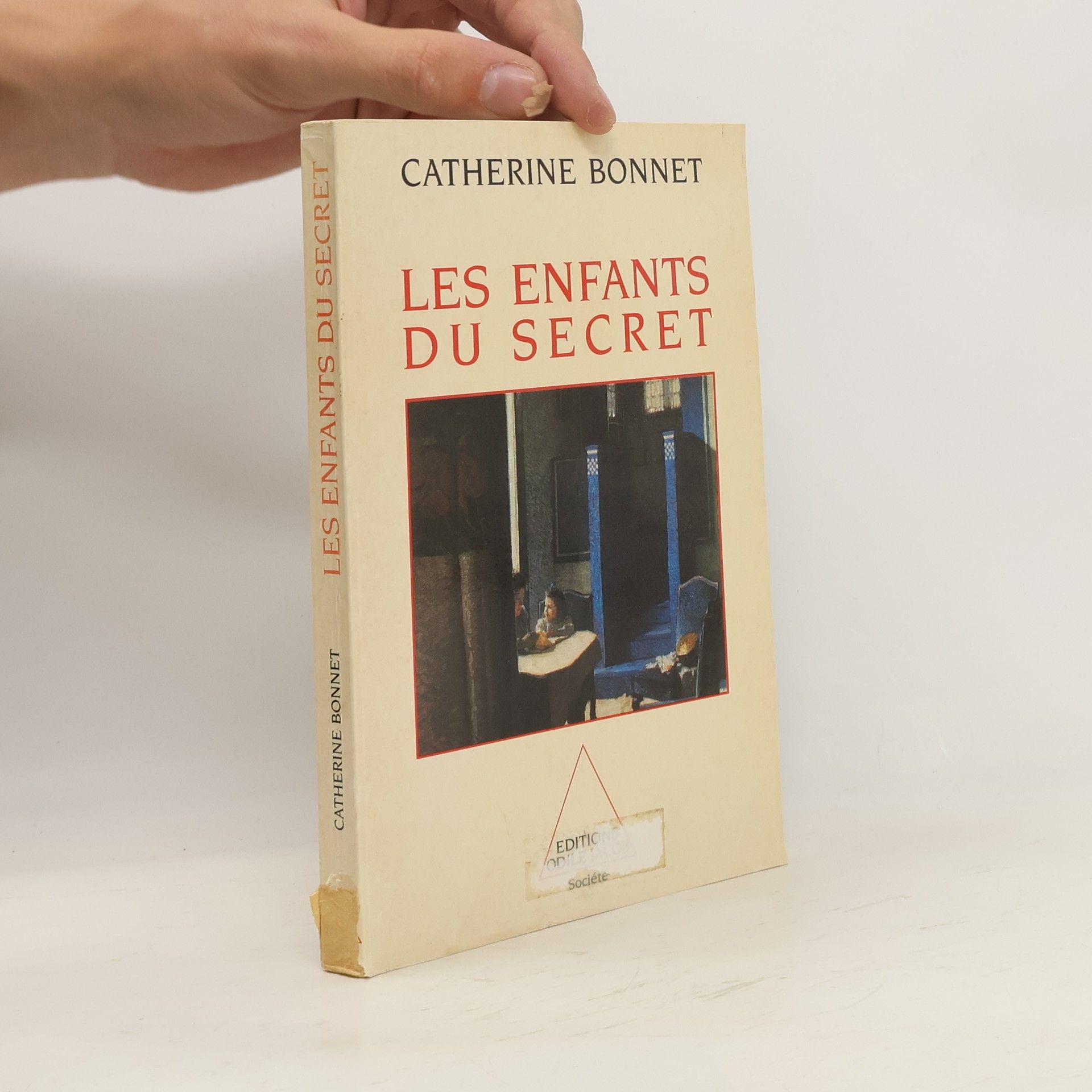 Catherine Bonnet Les Enfants du Secret