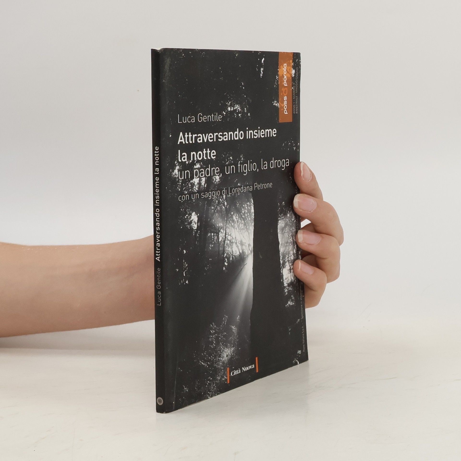 Luca Gentile Attraversando insieme la notte. Un padre, un figlio, la droga
