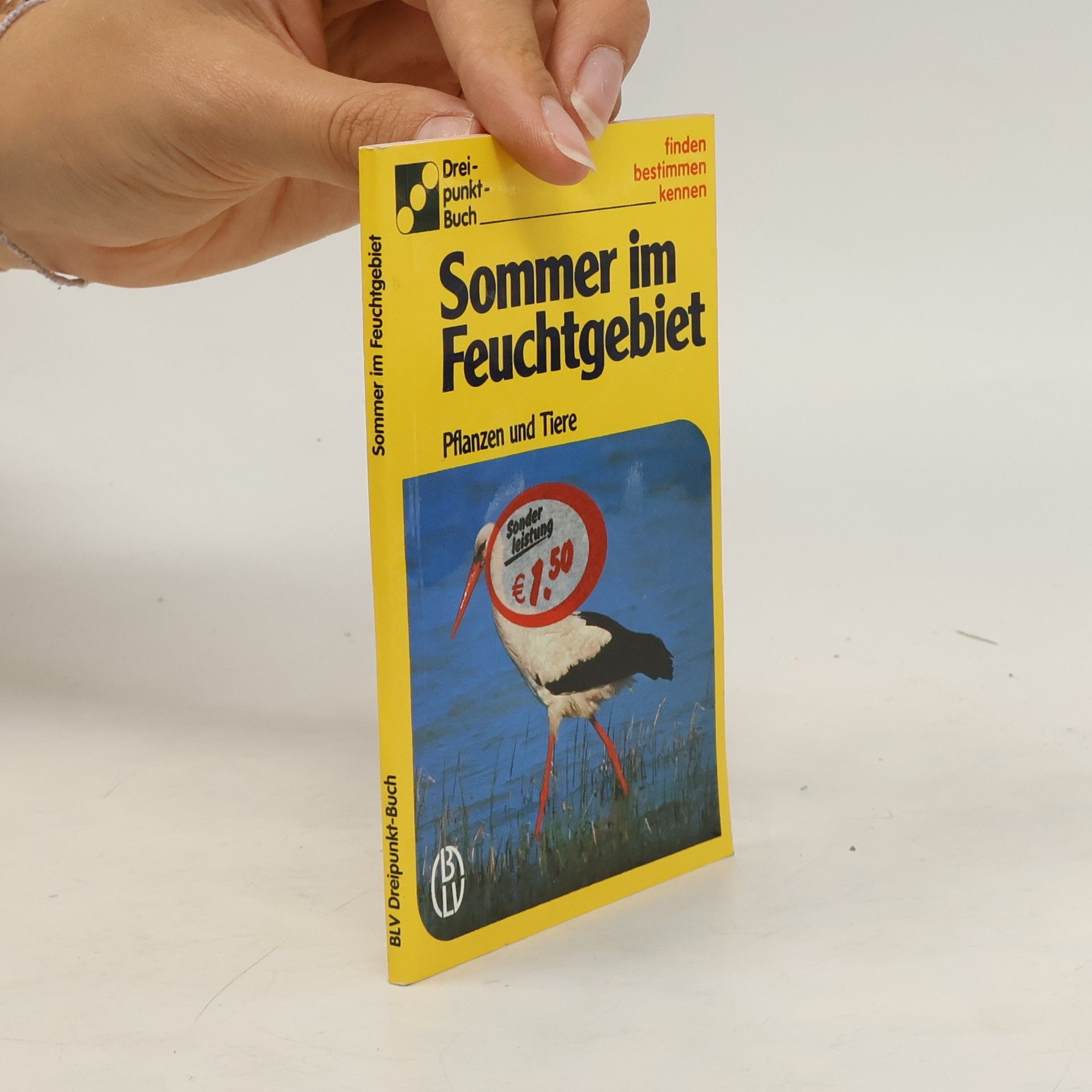 kolektiv Sommer im Feuchtgebiet