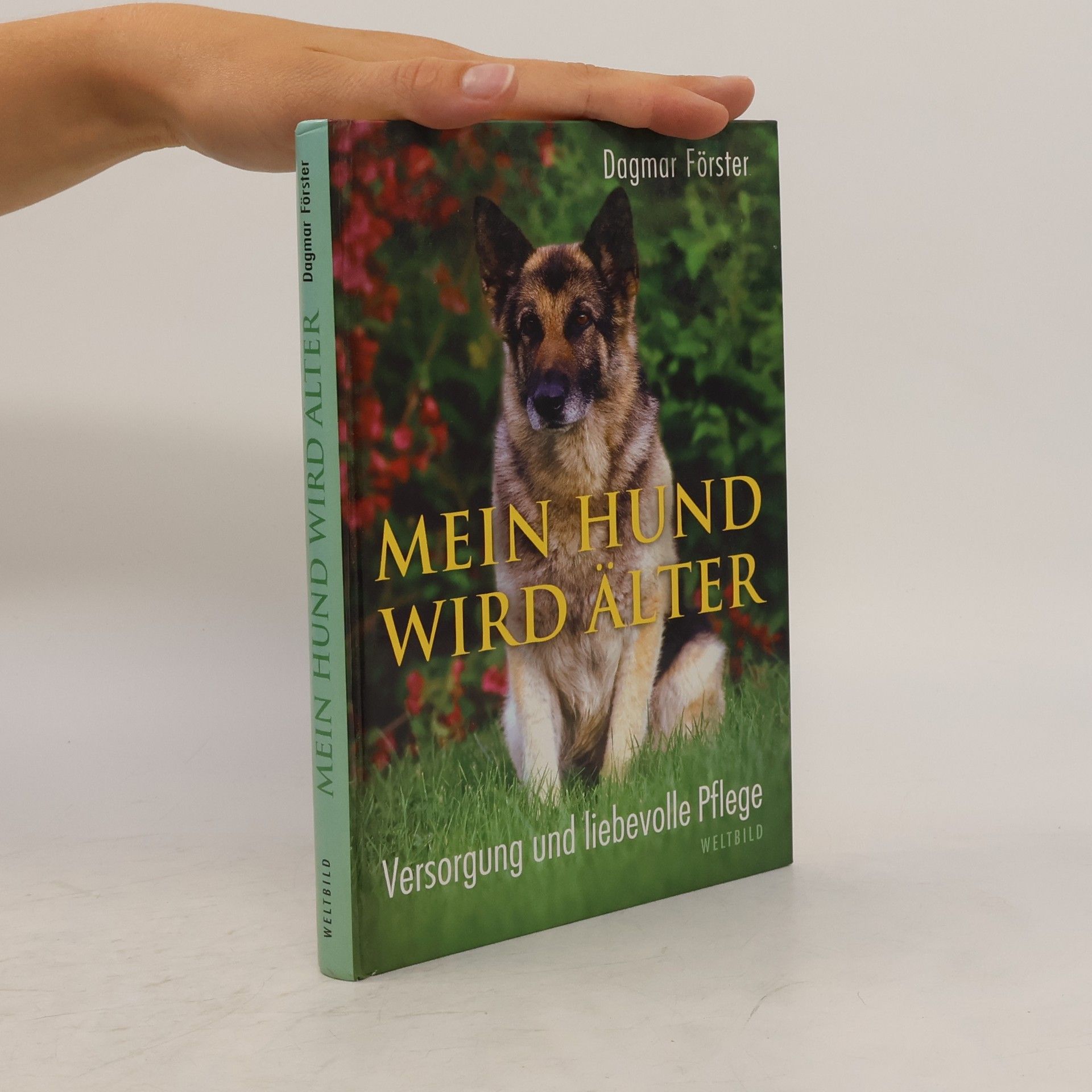 Dagmar Förster Mein Hund wird älter. Versorgung und liebevolle Pflege