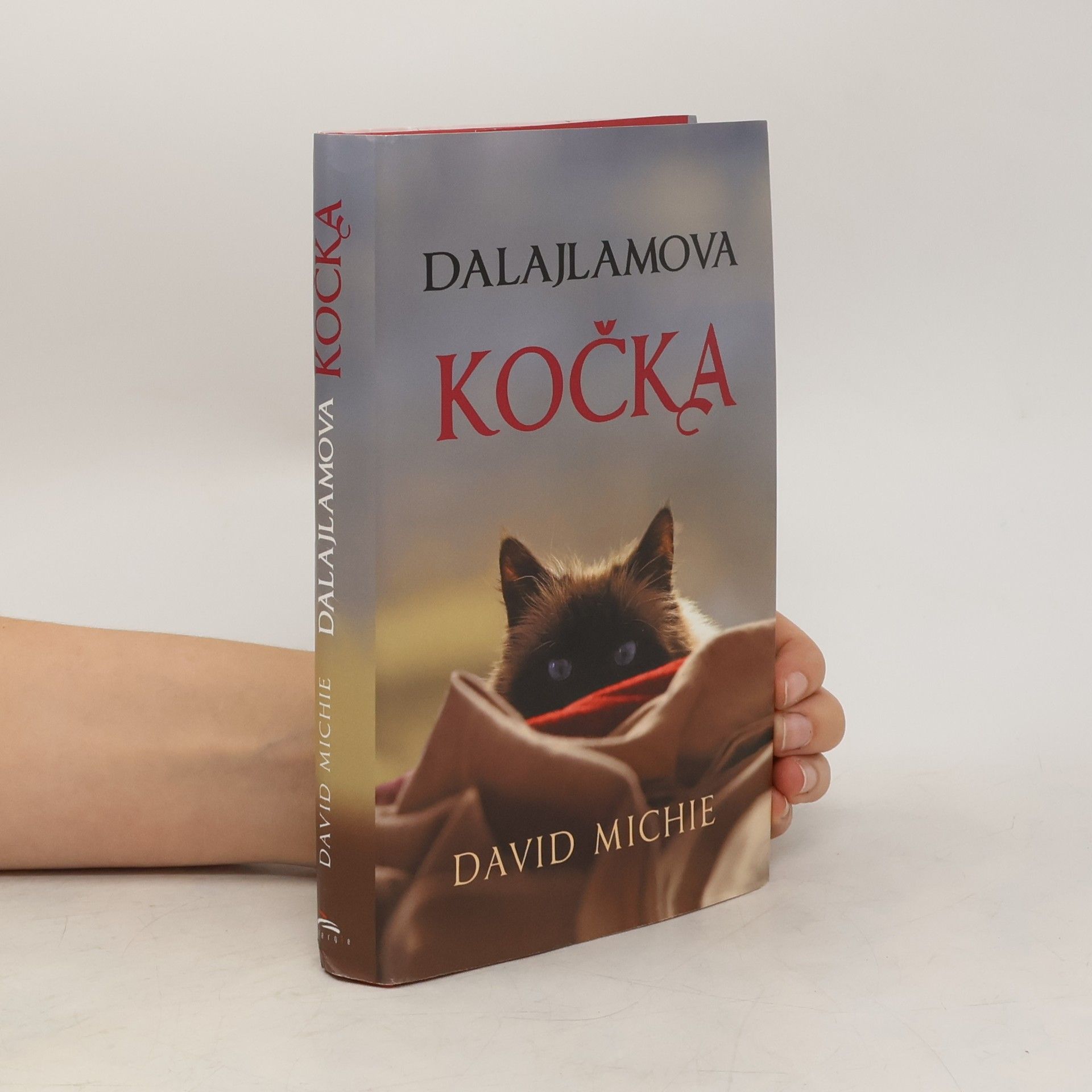 David Michie Dalajlamova kočka