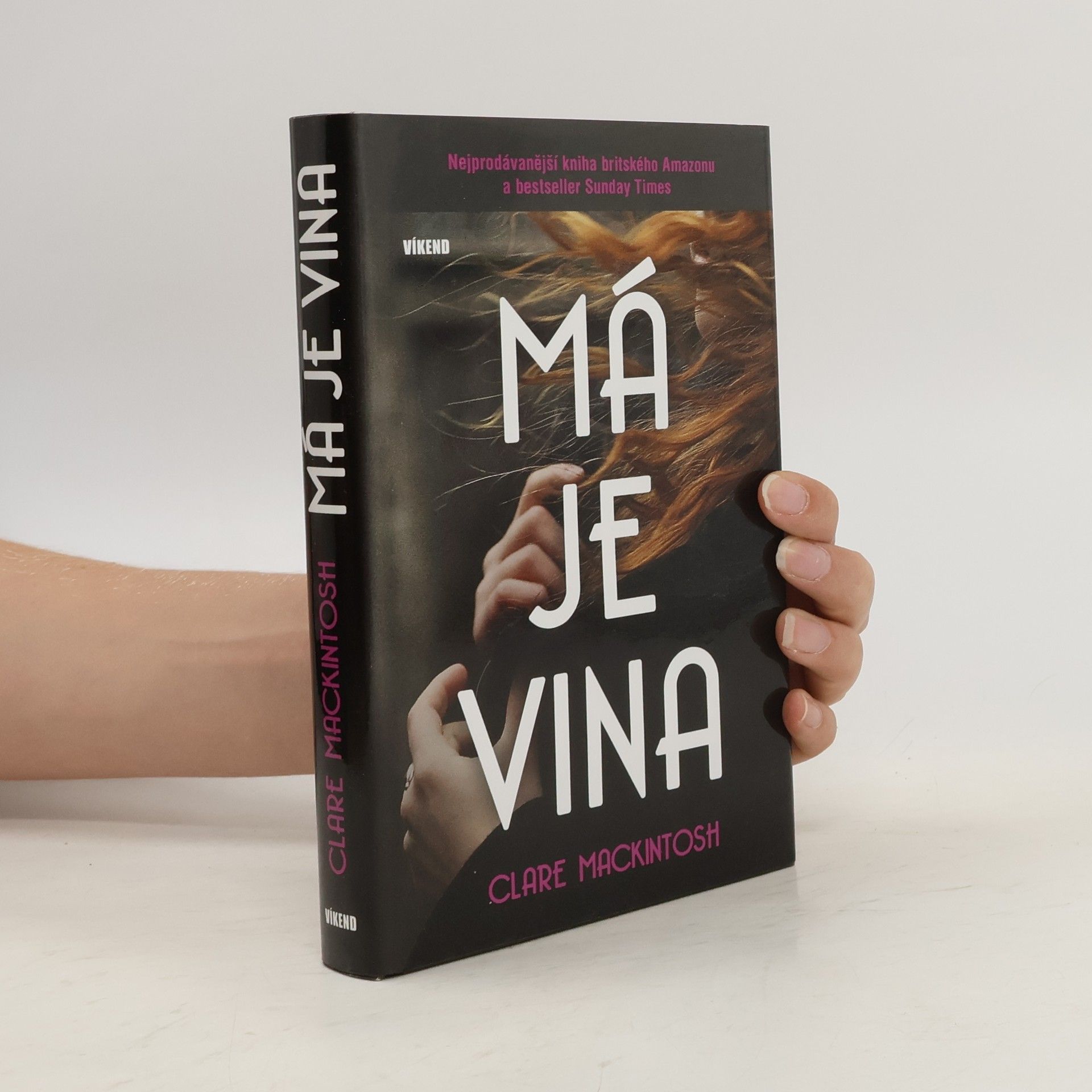 Clare Mackintosch Má je vina