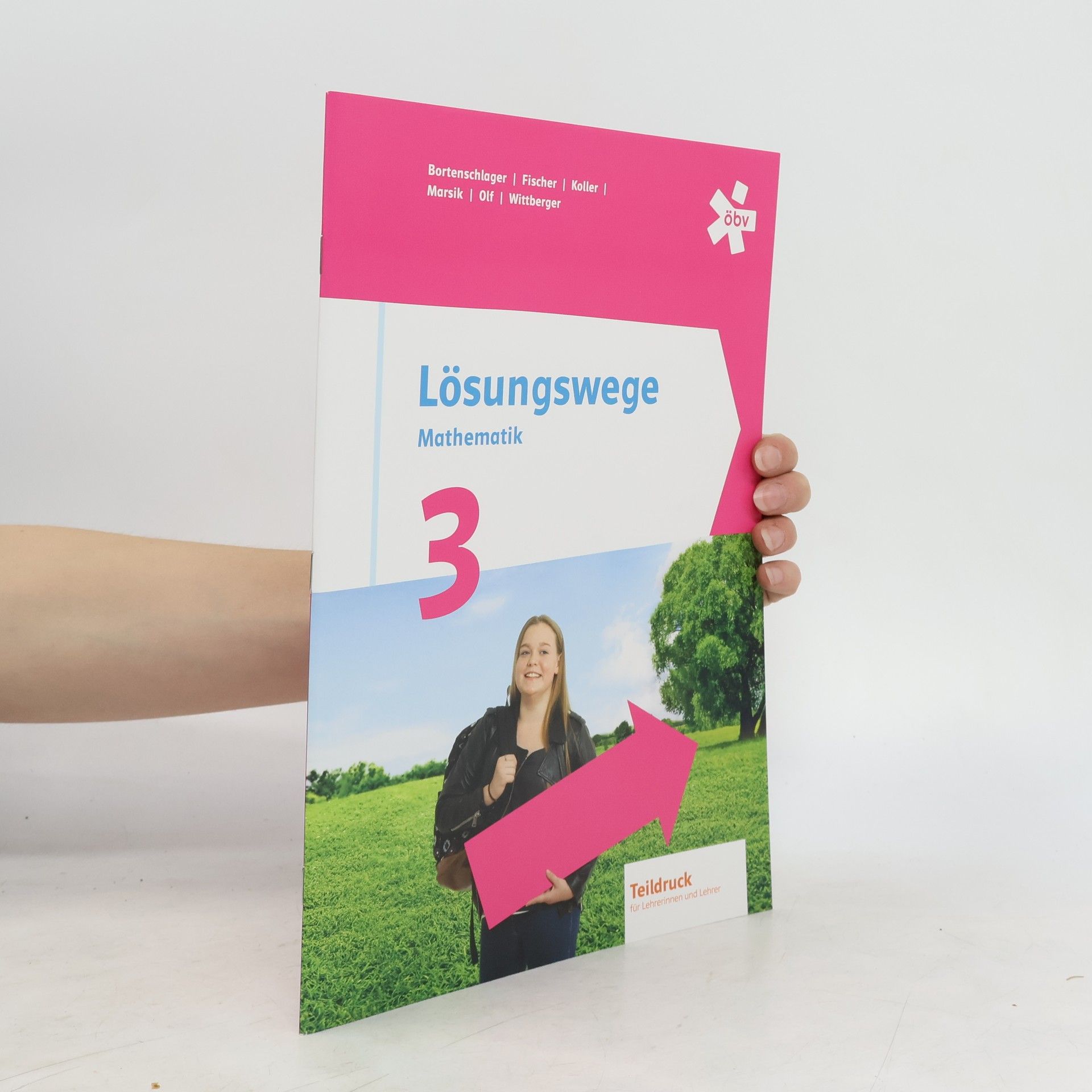 Autorenkollektiv Lösungswege Mathematik 2