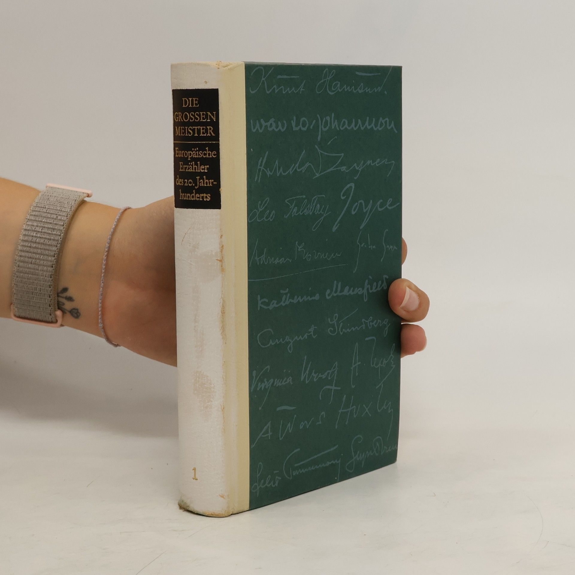 AA.VV. Die grossen Meister 1. Europäische Erzähler des 20. Jahr-hunderts