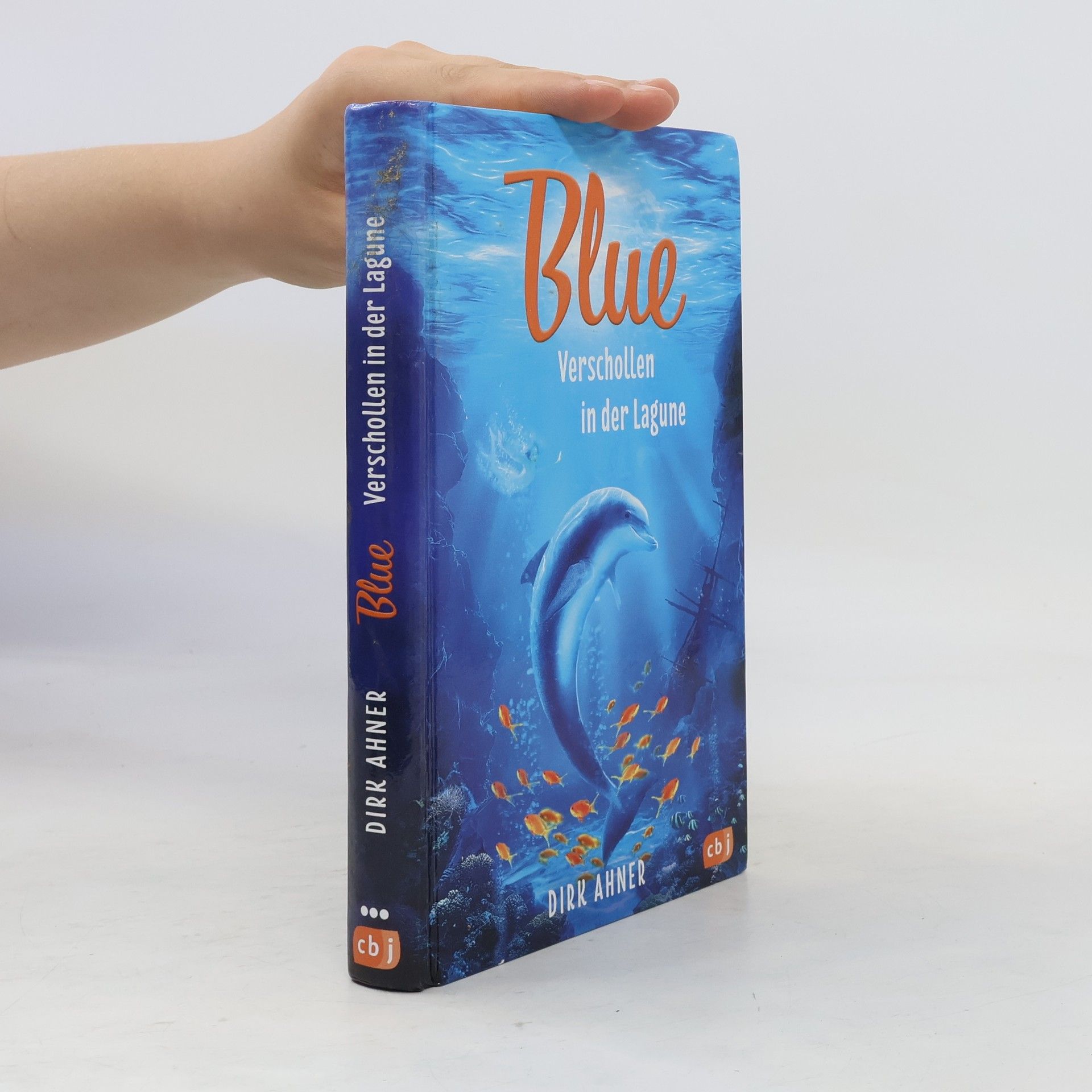 Dirk Ahner Blue - verschollen in der Lagune