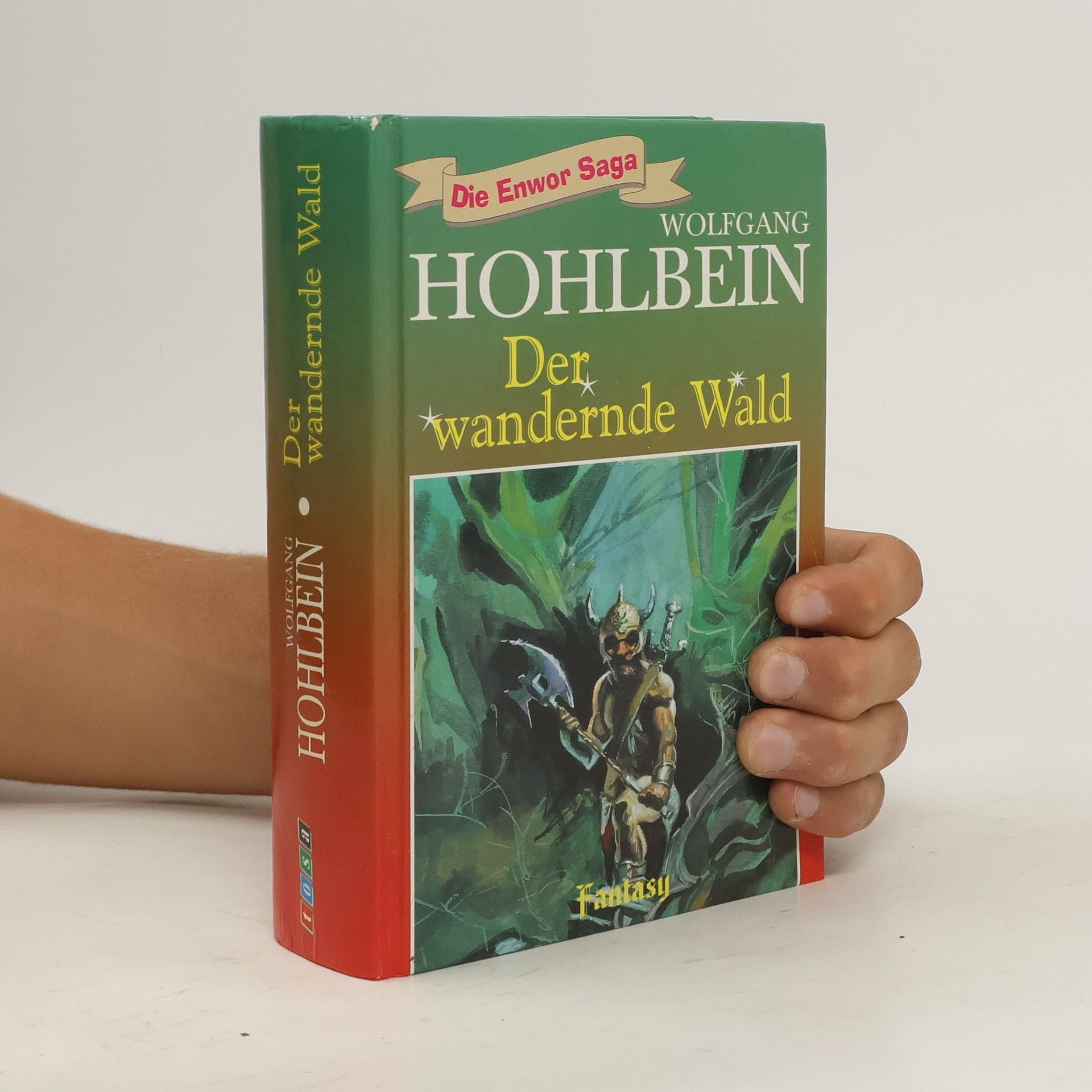 Wolfgang Hohlbein Die Enwor-Saga