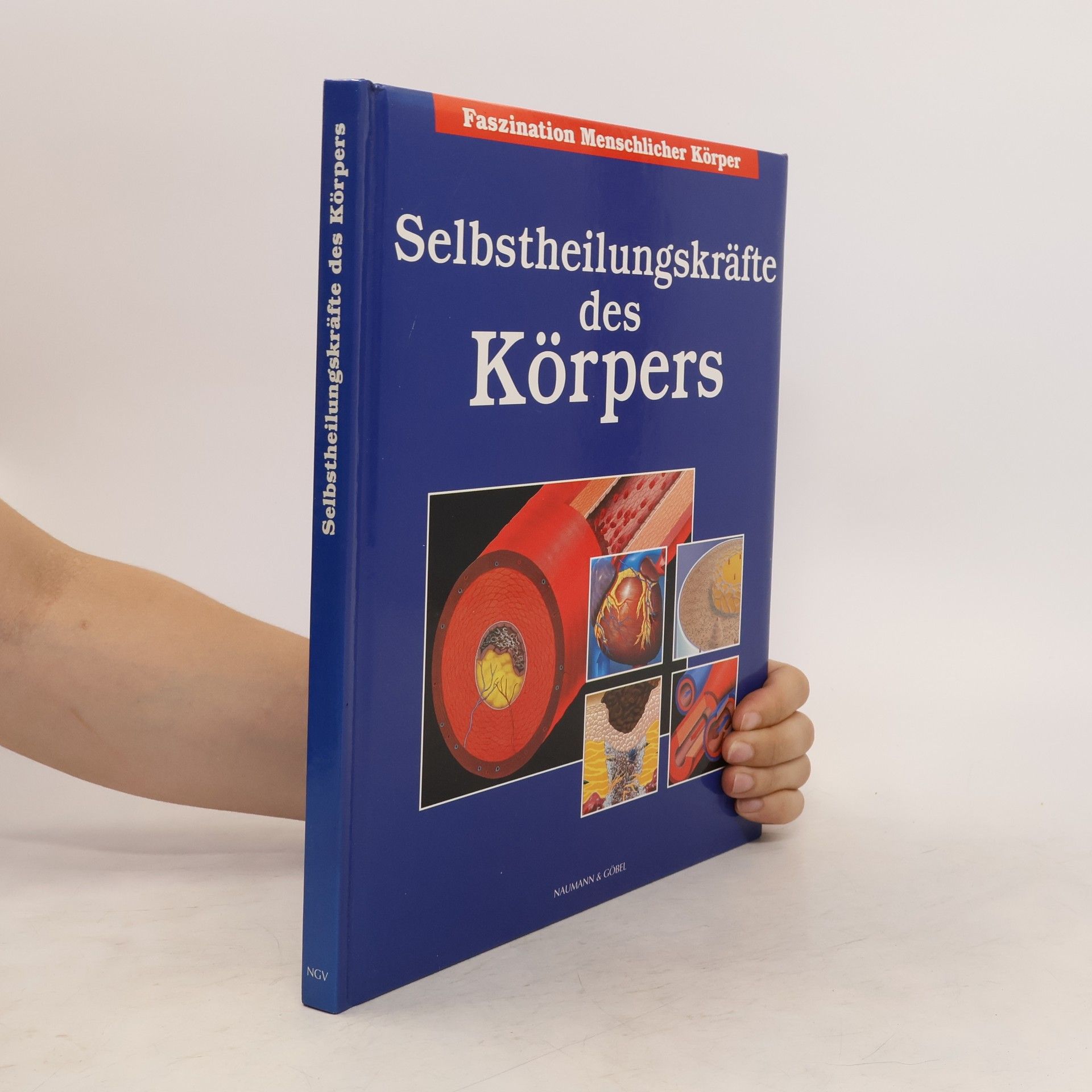 Autorenkollektiv Selbstheilungskräfte des Körpers