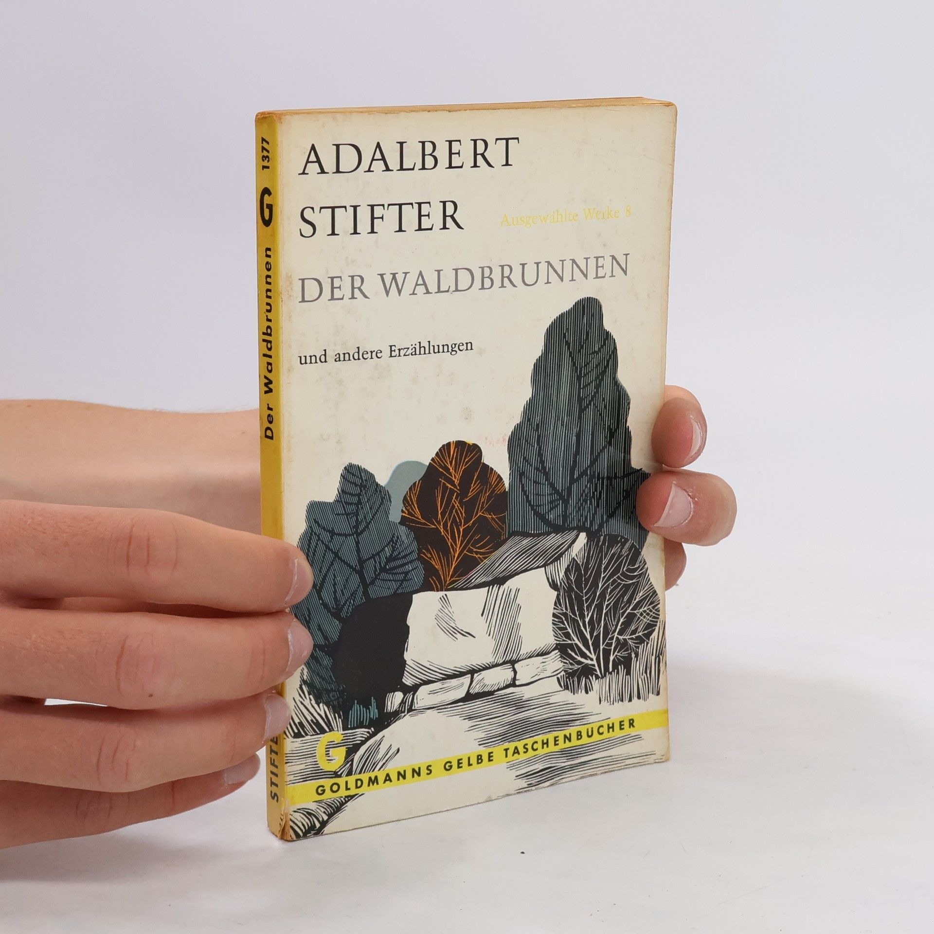 Adalbert Stifter Der Waldbrunnen
