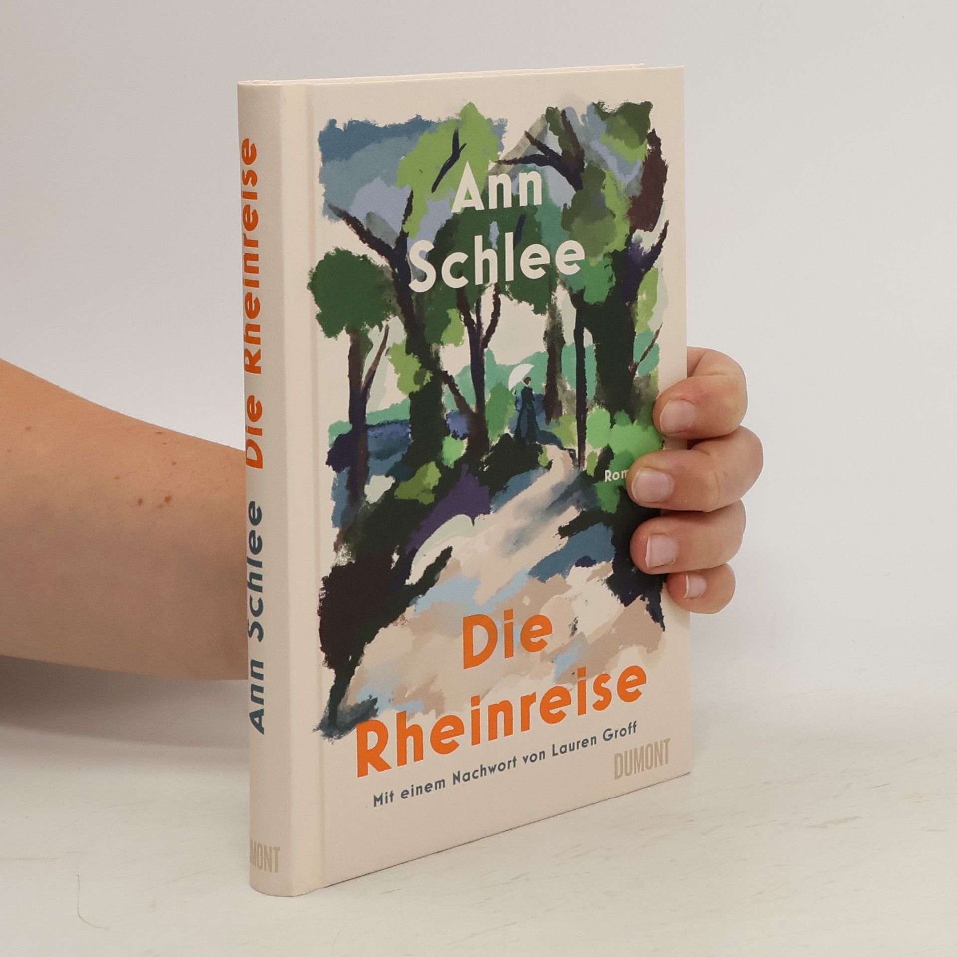 Ann Schlee Die Rheinreise