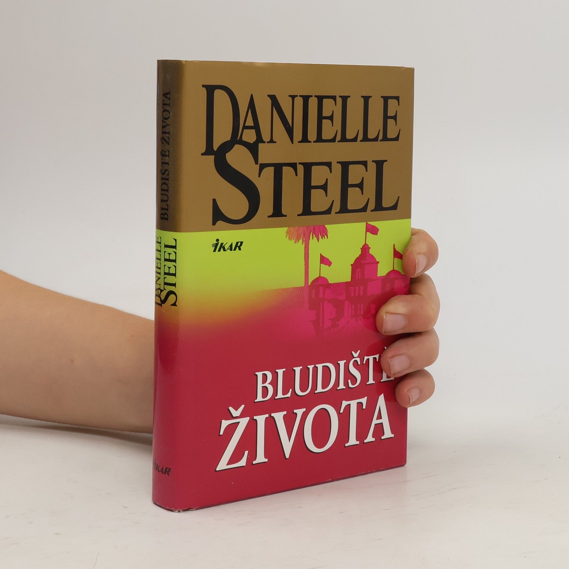 Danielle Steel Bludiště života