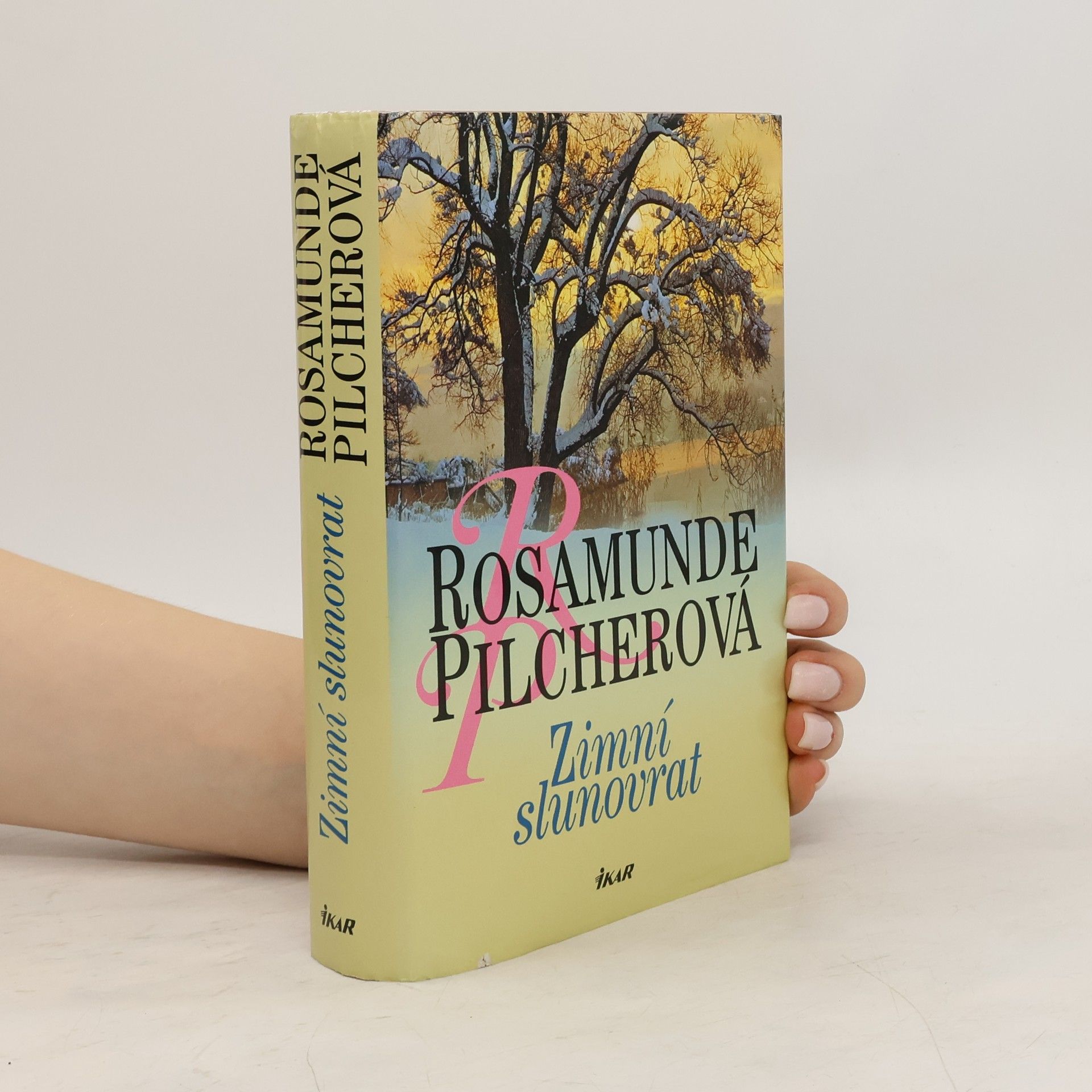 Rosamunde Pilcher Zimní slunovrat