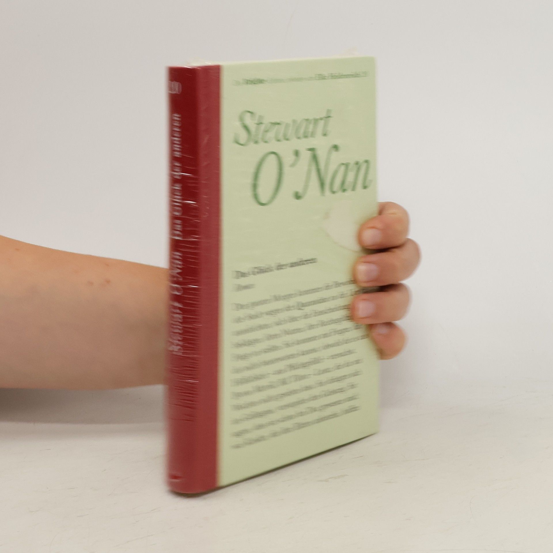 Stewart O’Nan Das Glück der anderen
