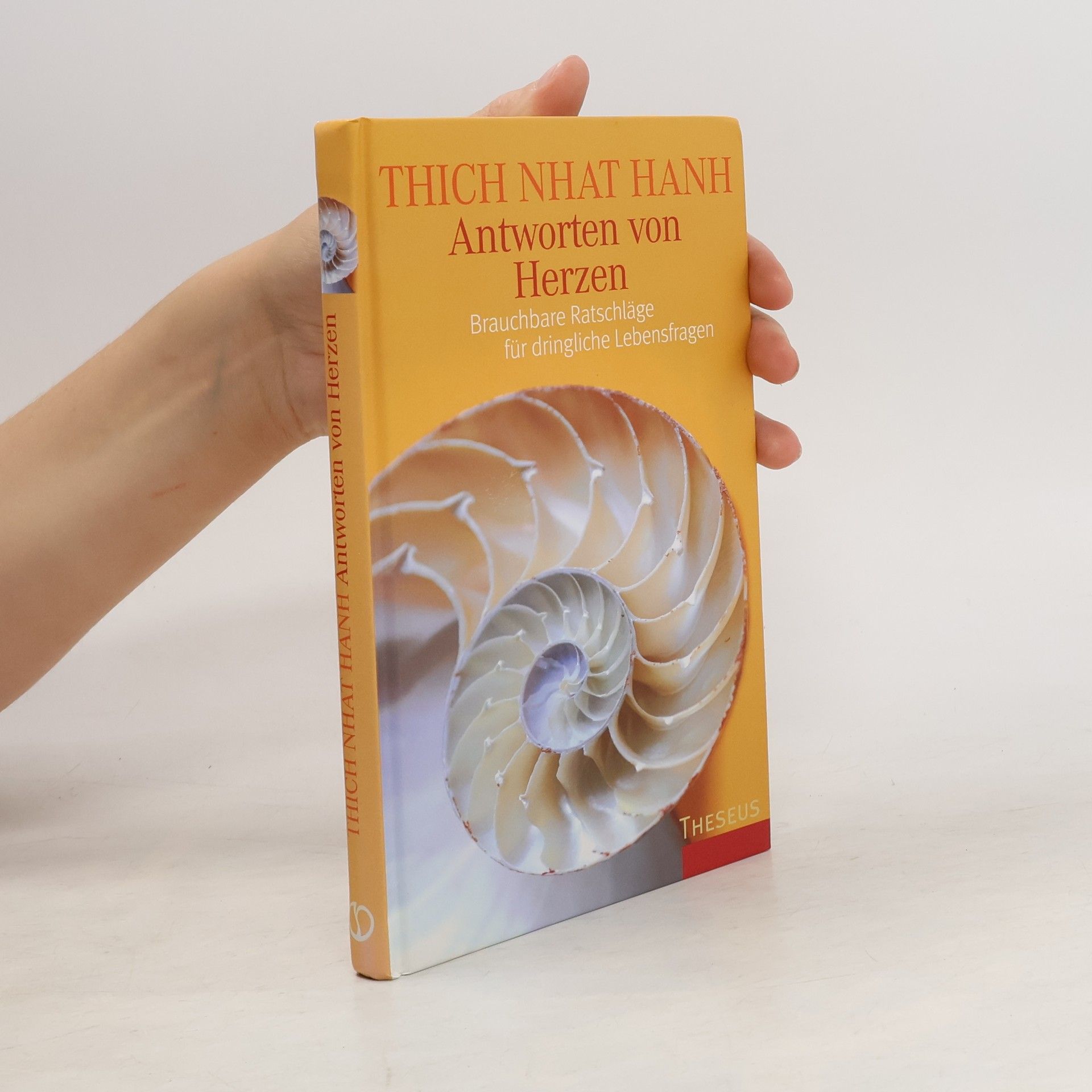Hạnh Nhat Antworten von Herzen