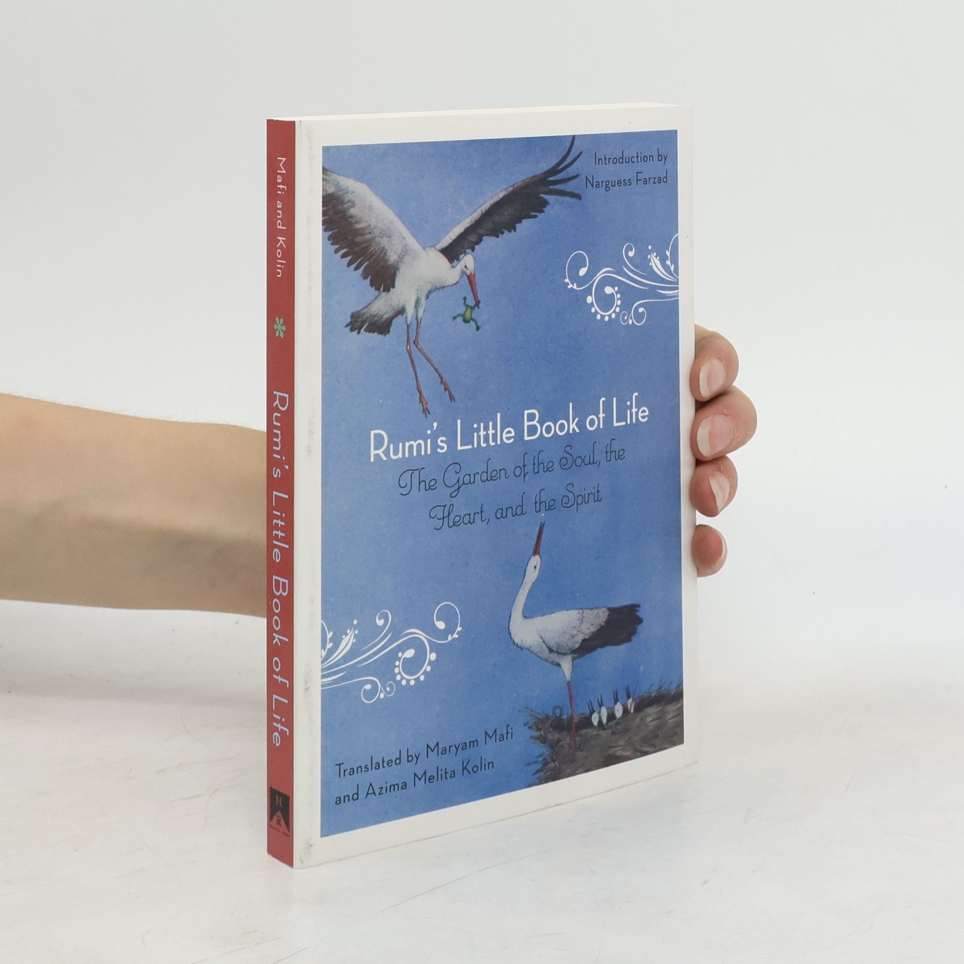 Collectif d'auteurs Rumi's Little Book of Life