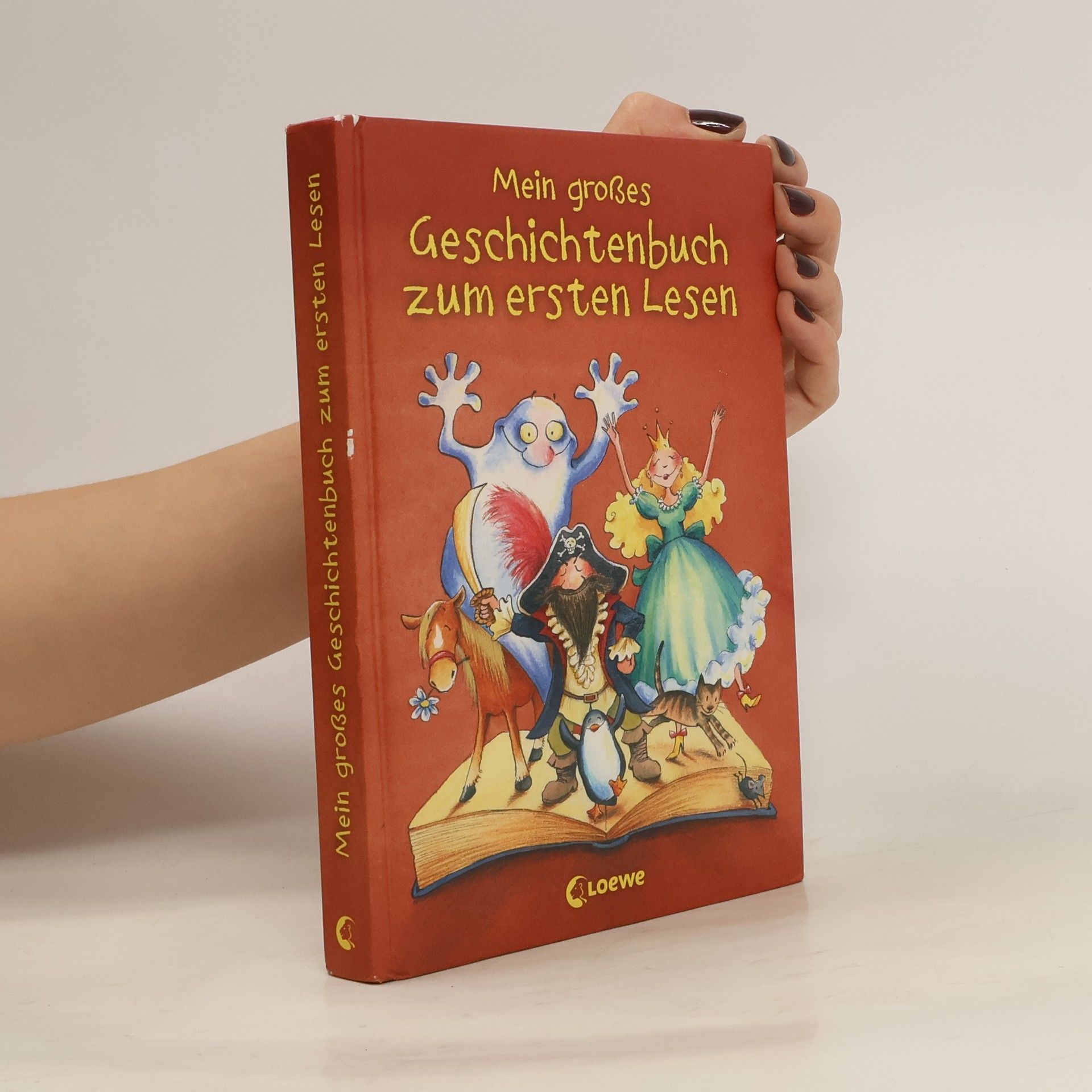 Collectif d'auteurs Mein großes Geschichtenbuch zum ersten Lesen