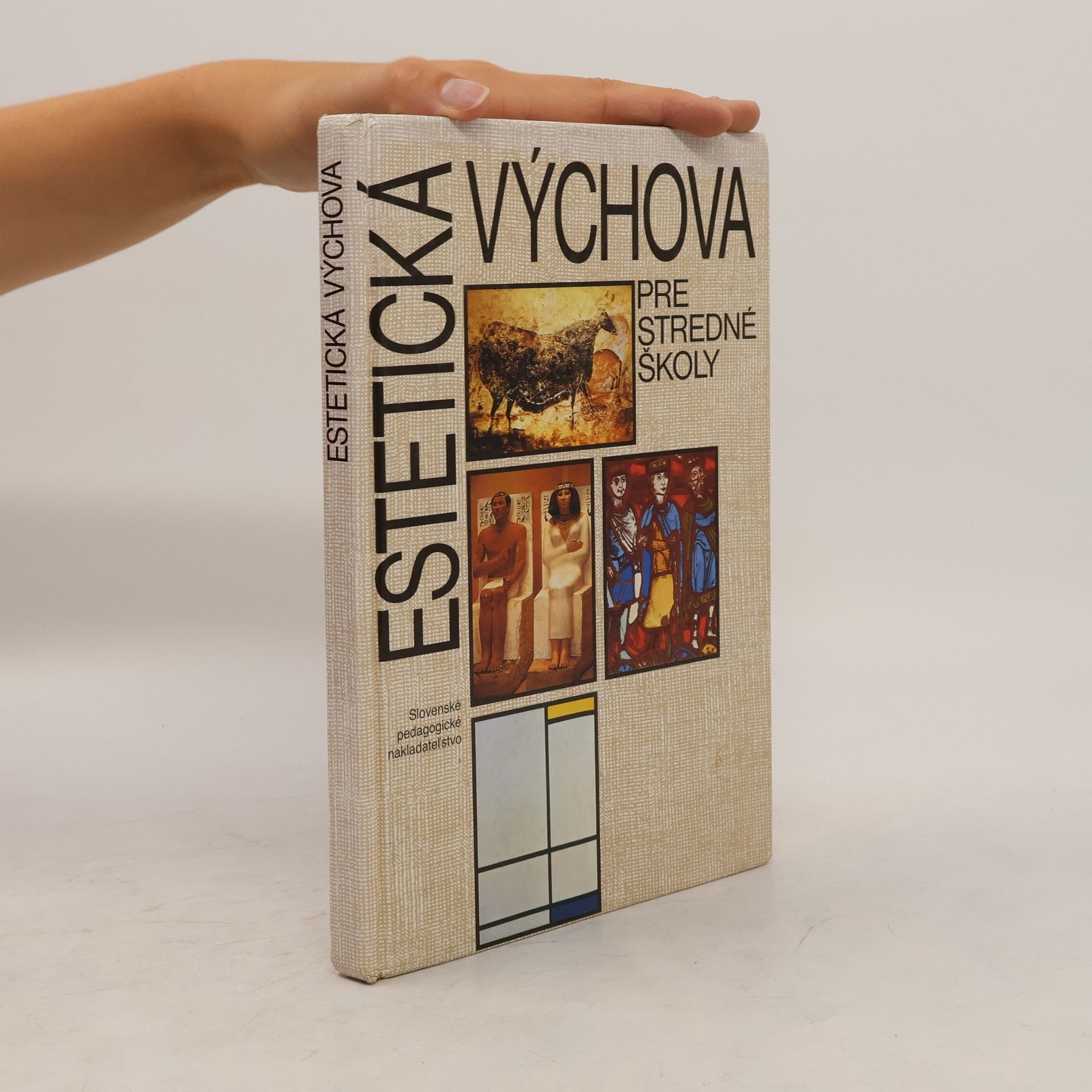 Collectif d'auteurs Estetická výchova pre stredné školy