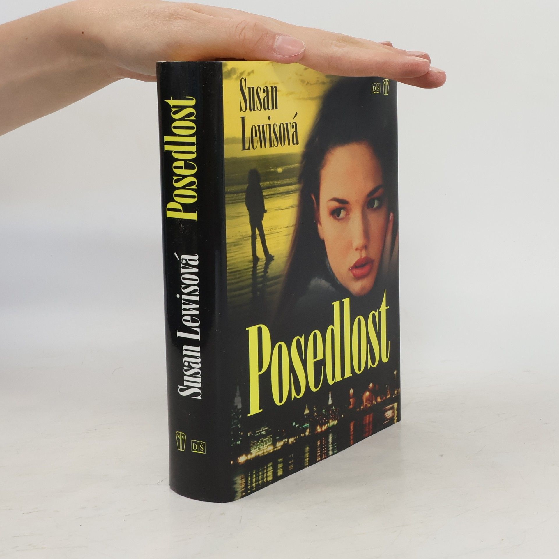 Susan Lewis Posedlost