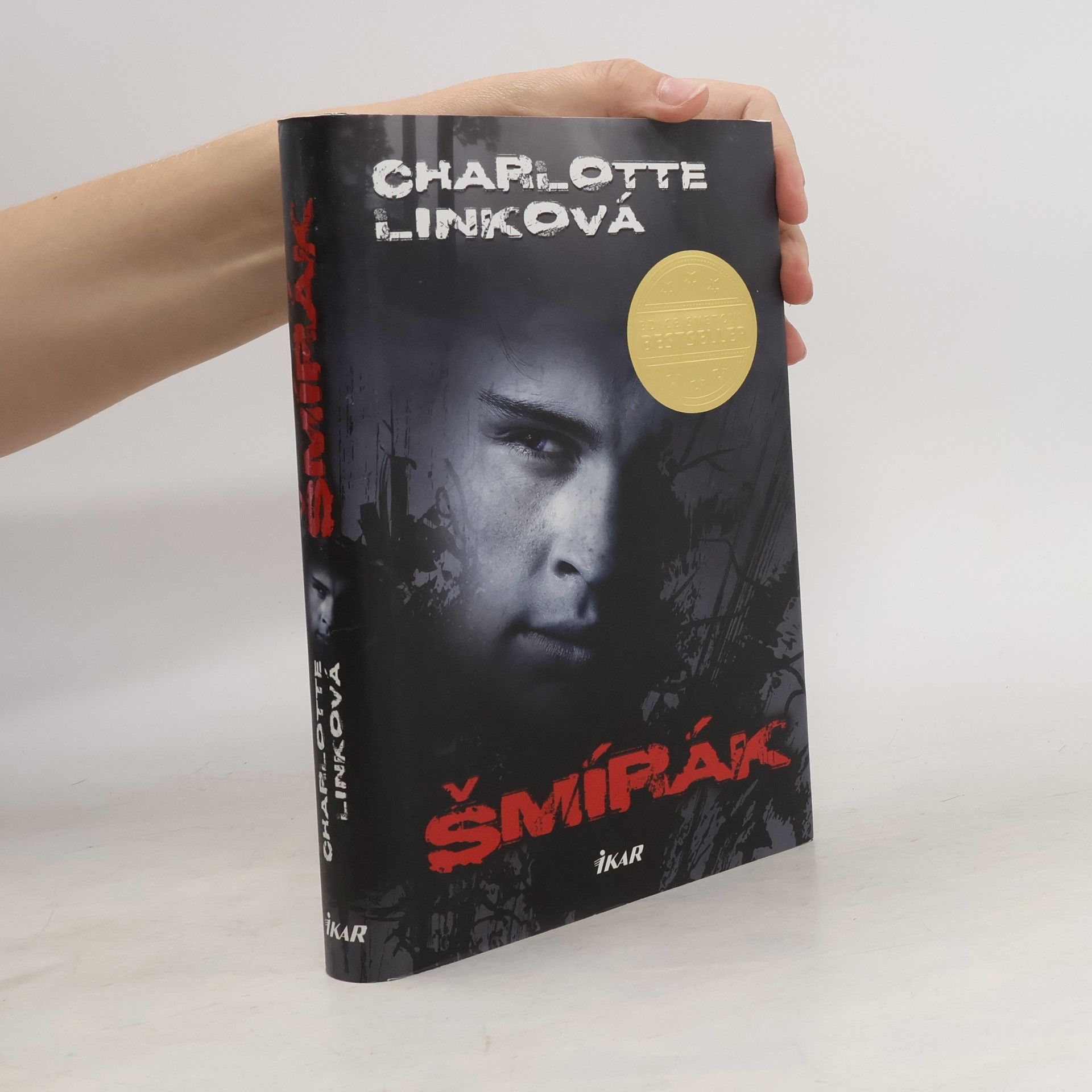 Charlotte Link Šmírák