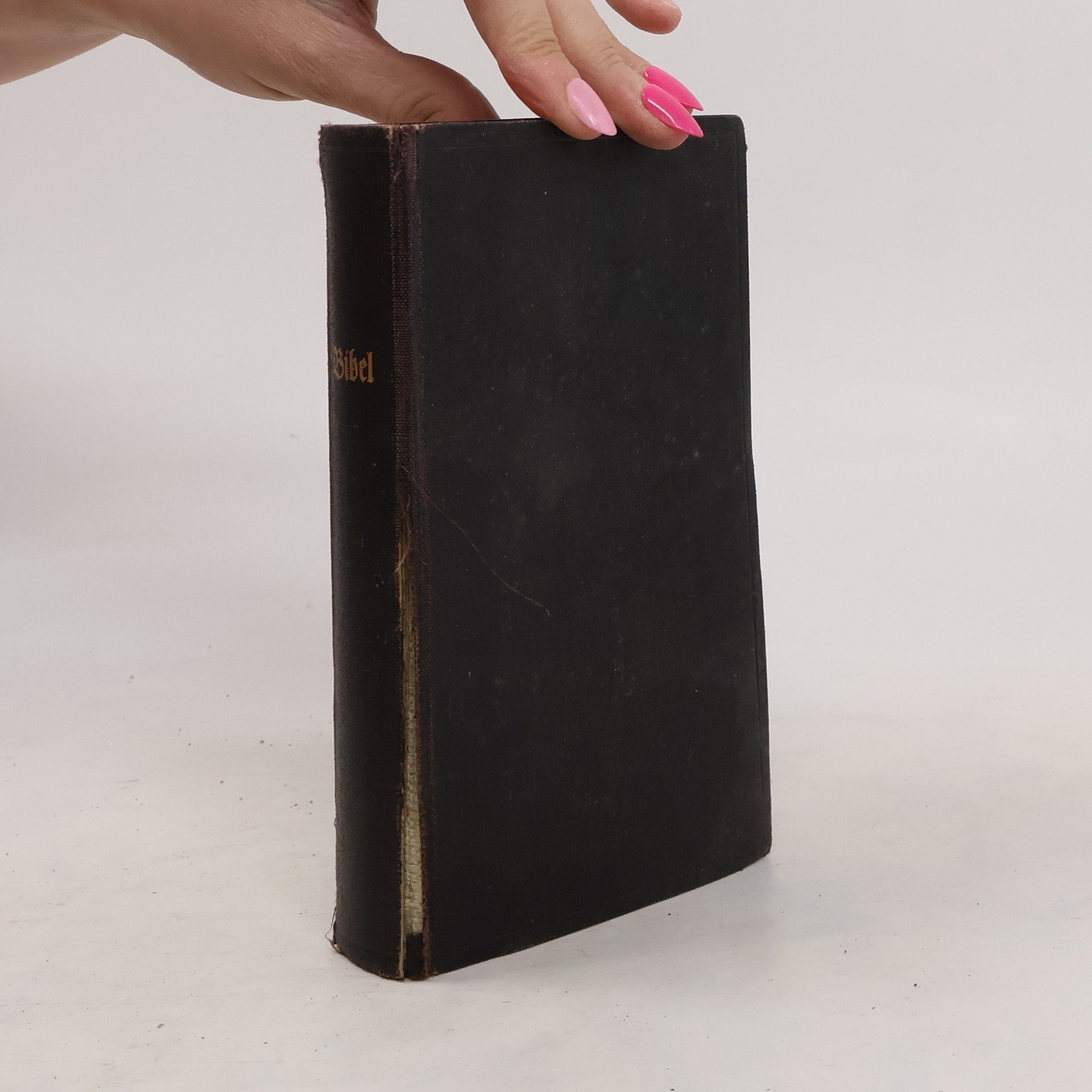D. Martin Luthers Die Bibel Oder Die Ganze Heilige Schrift Des Alten Und Neuen Testaments