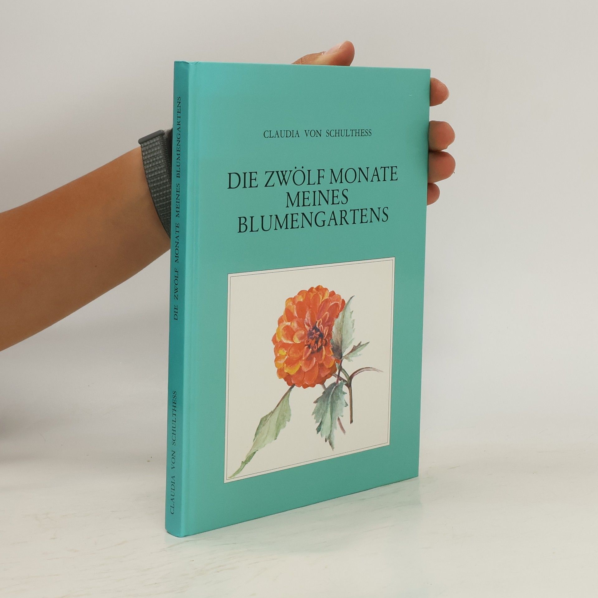 Claudia von Schulthess Die zwölf Monate meines Blumengartens