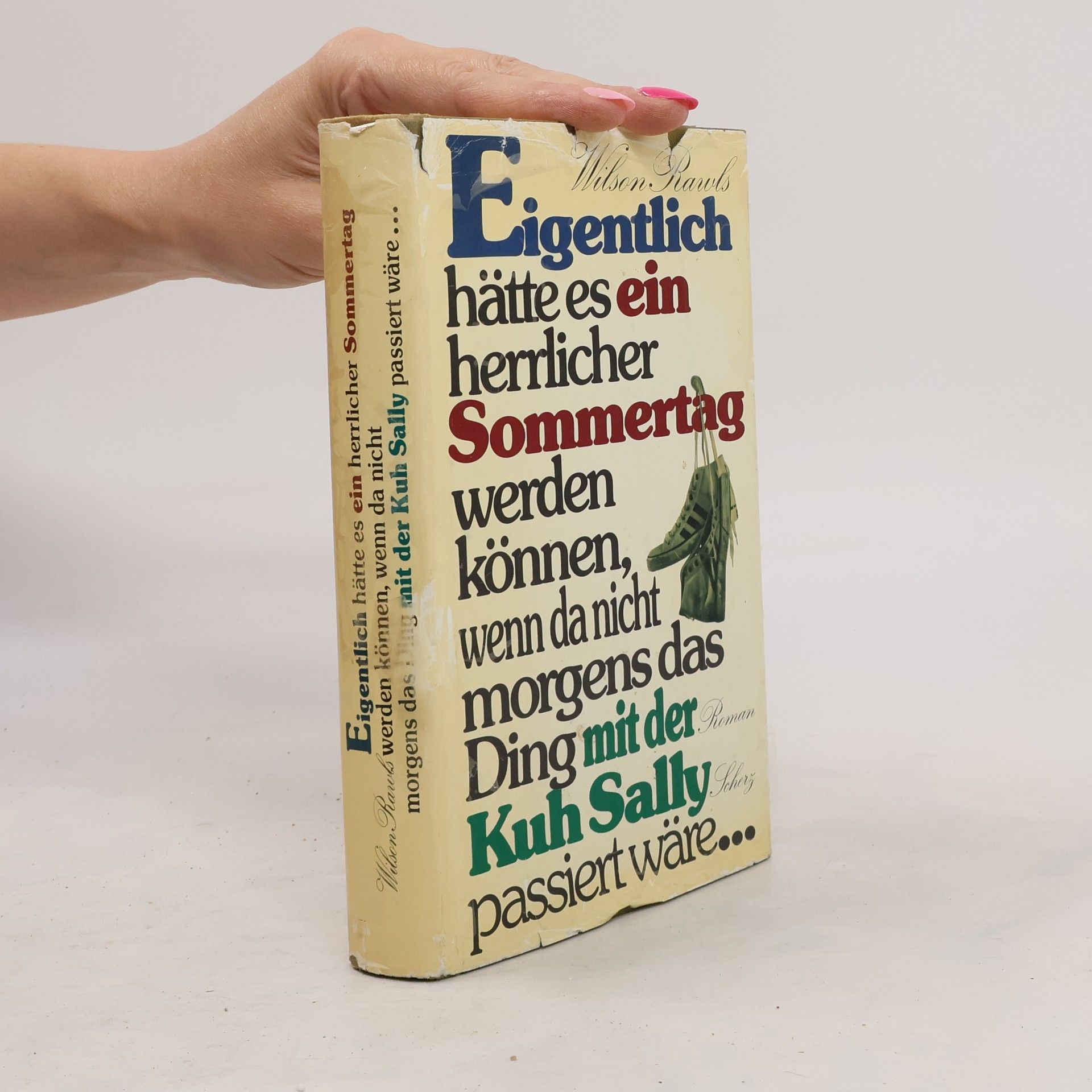 Eigentlich hätte es ein herrlicher Sommertag werden können, wenn da nicht morgens das Ding mit der Kuh Sally passiert wäre